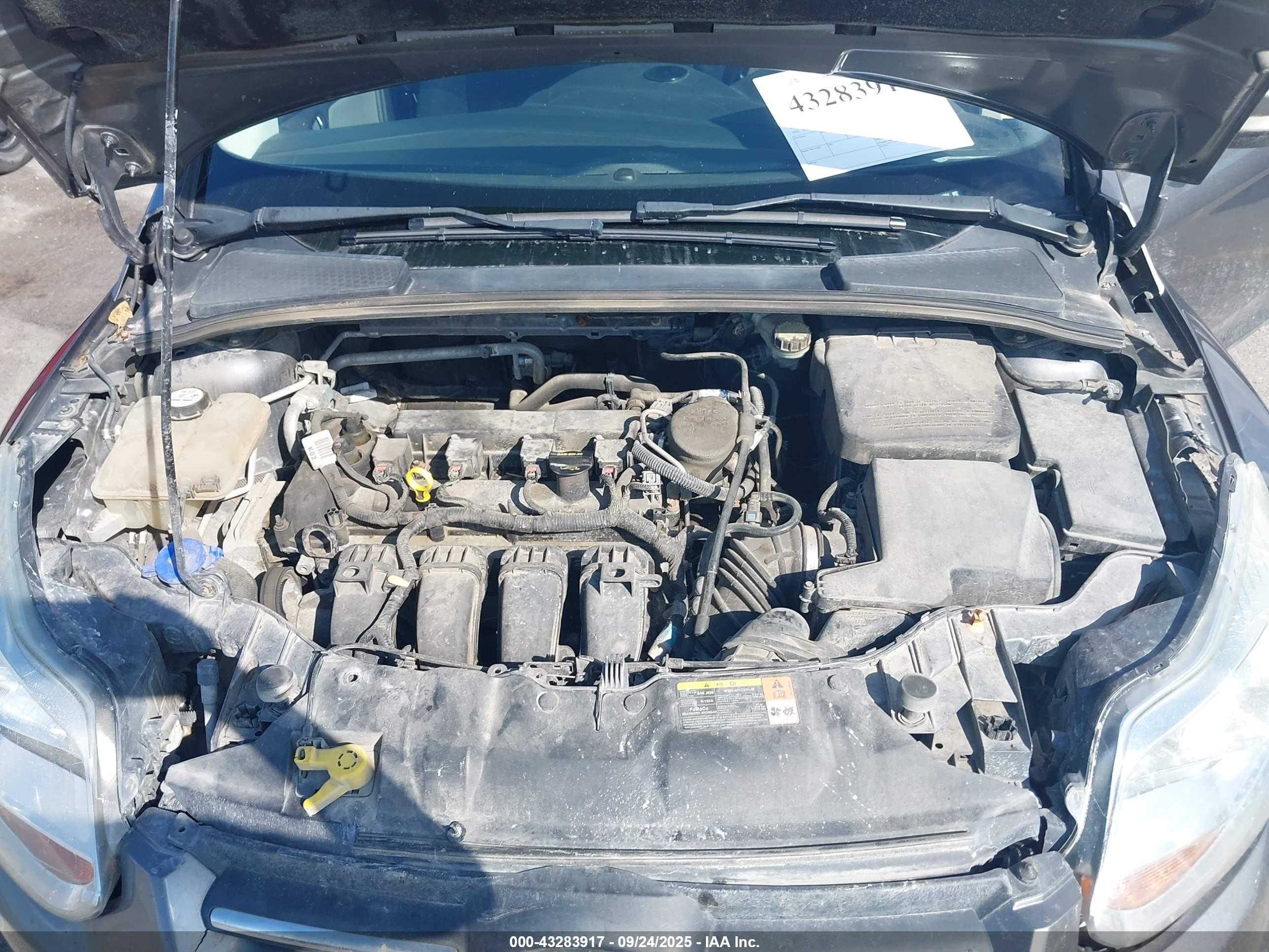 FORD FOCUS image 10