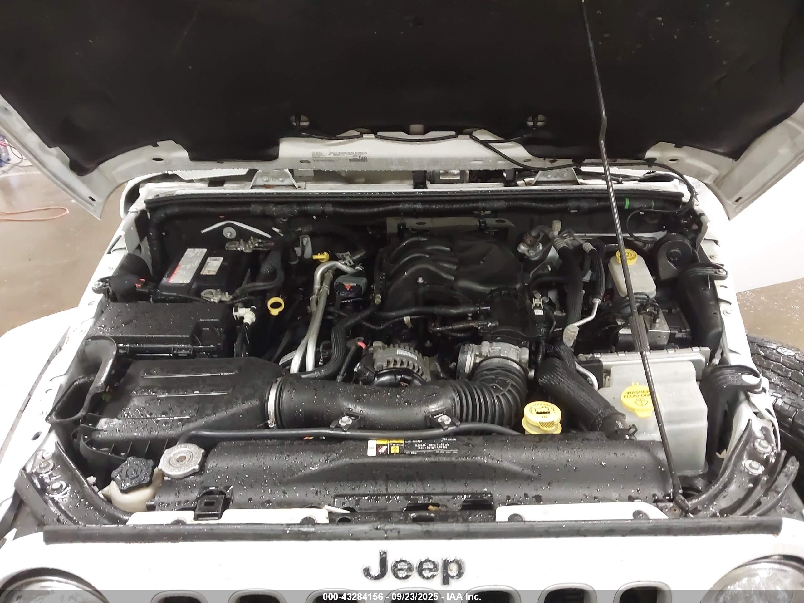 JEEP WRANGLER image 10