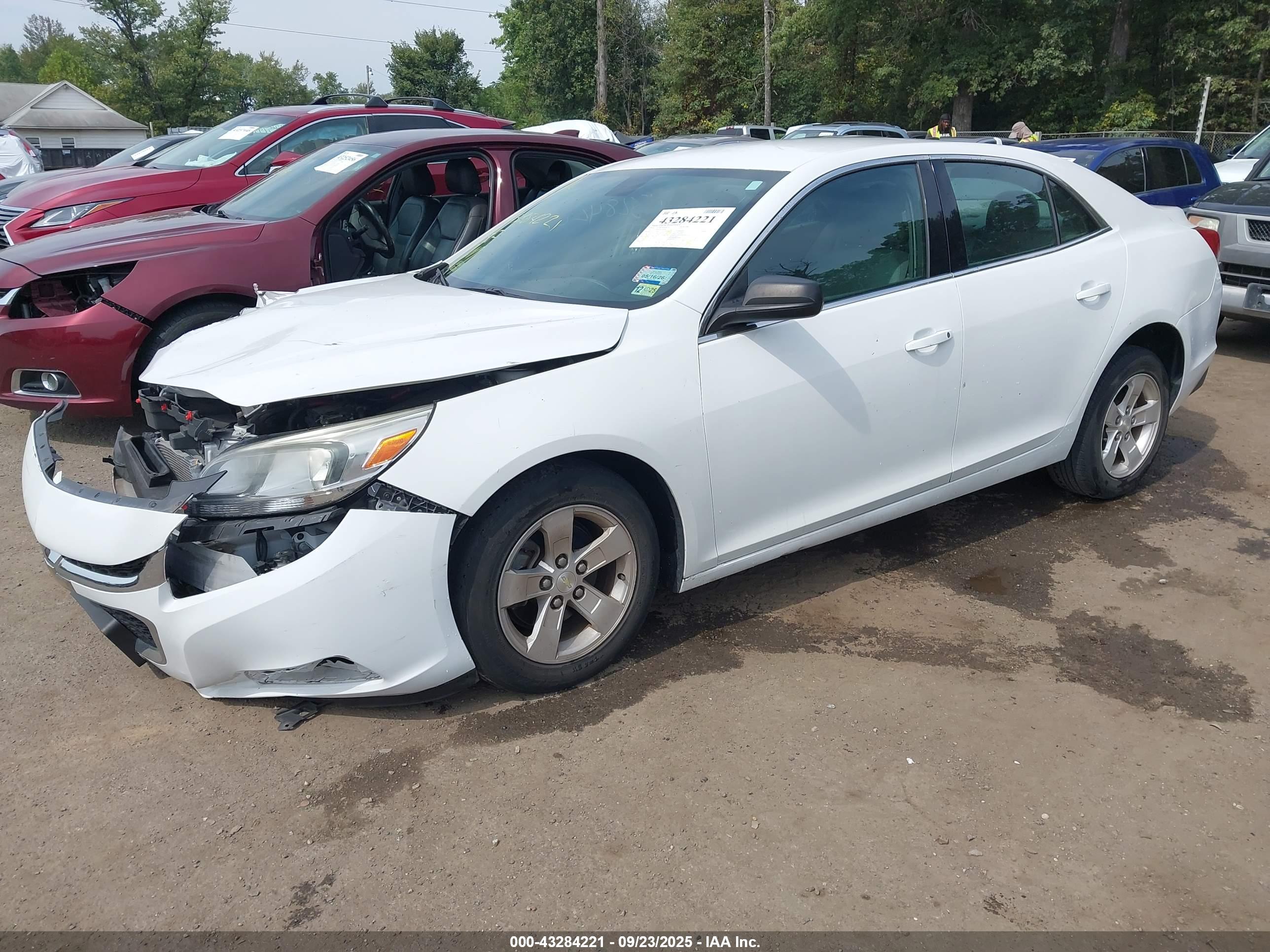 CHEVROLET MALIBU image 2