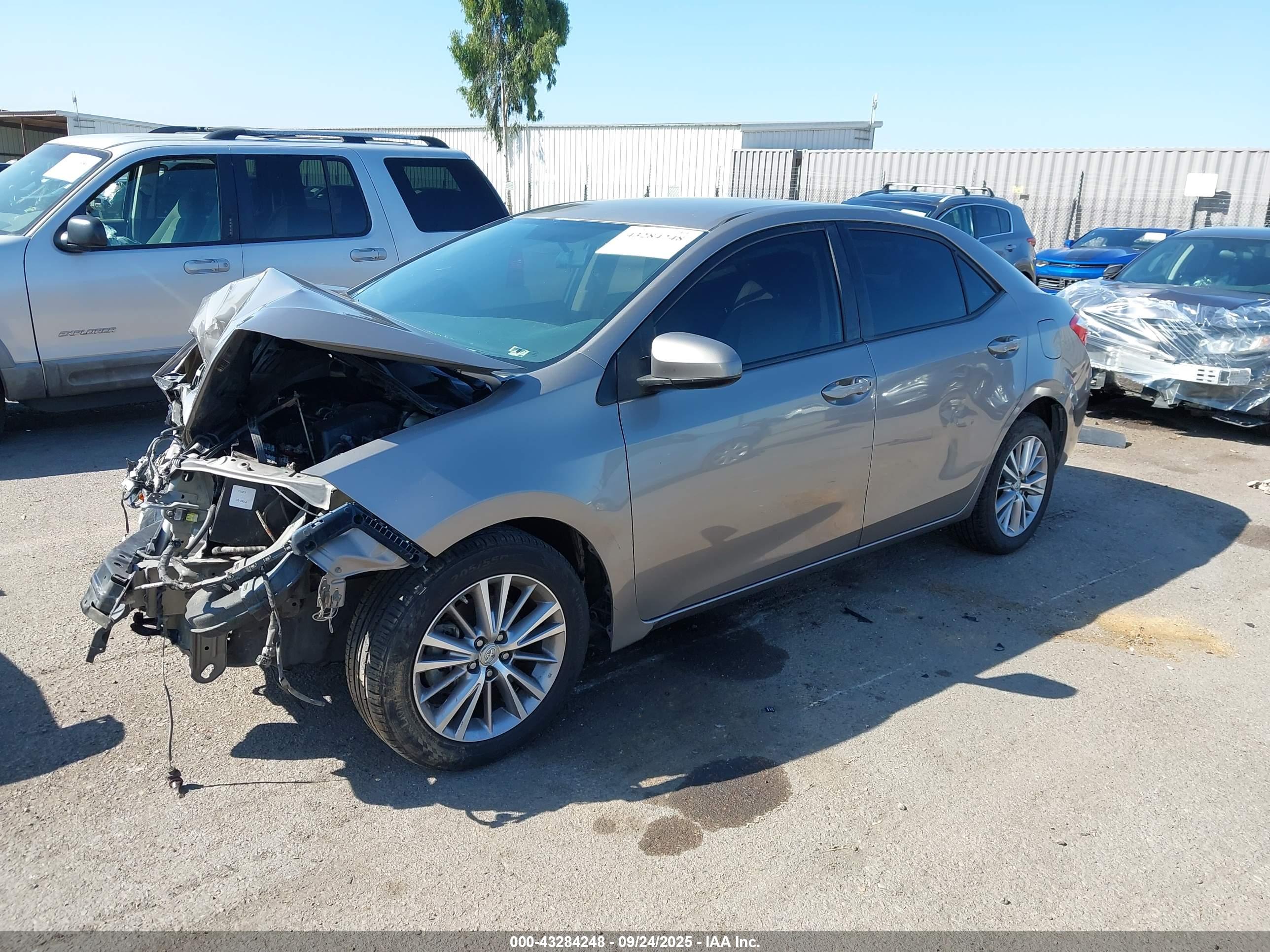 TOYOTA COROLLA image 2