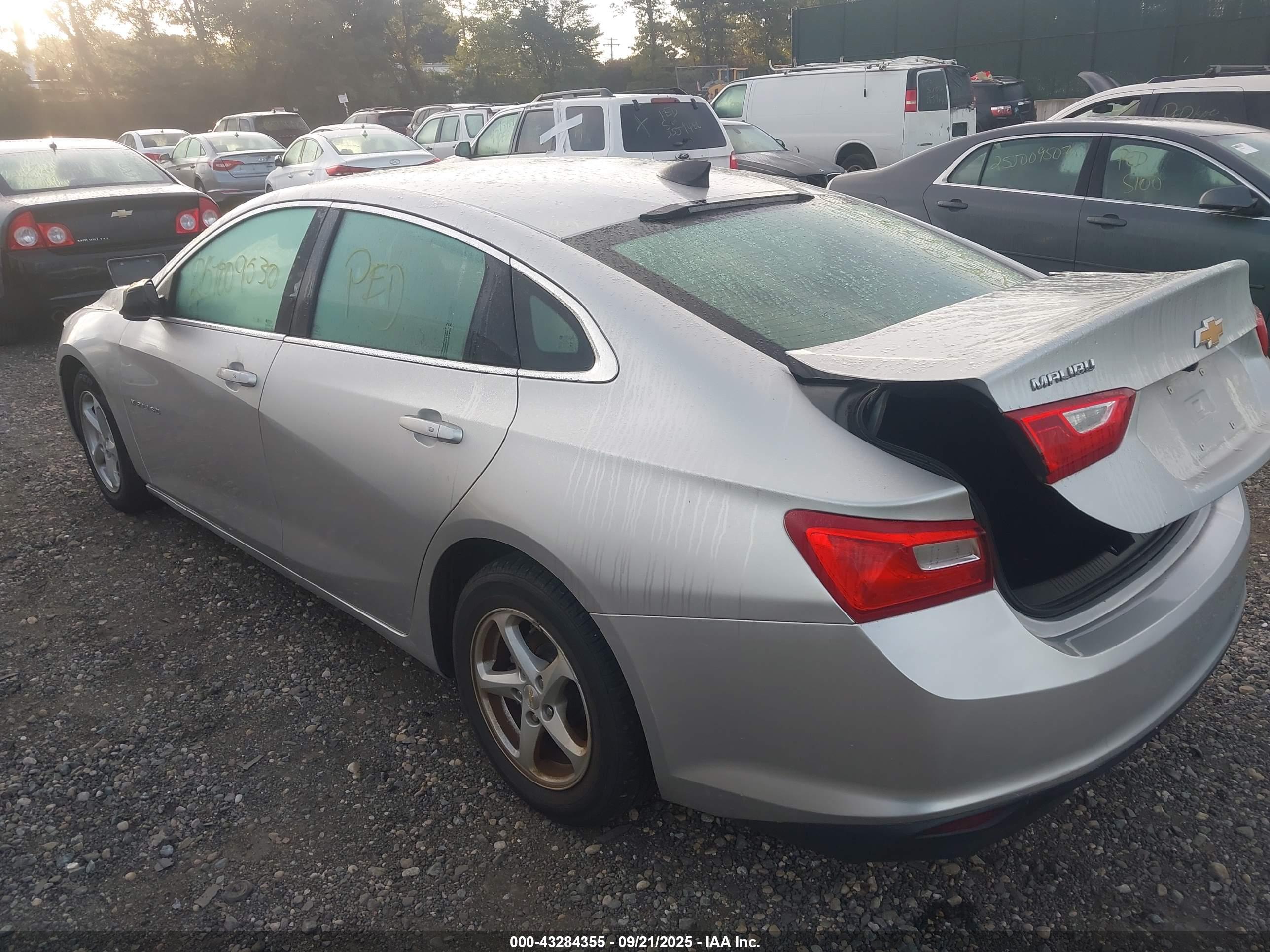 CHEVROLET MALIBU image 3