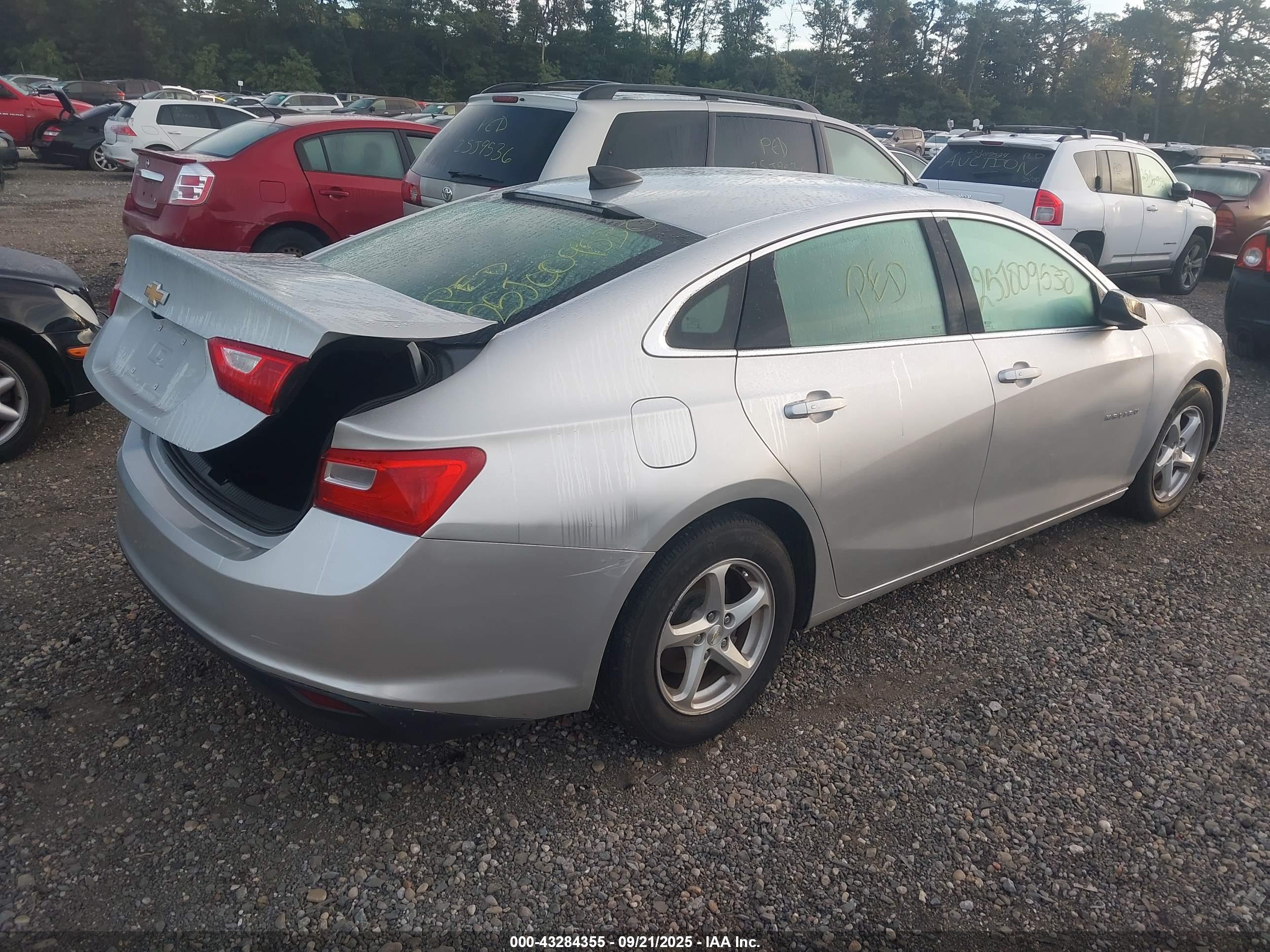 CHEVROLET MALIBU image 4