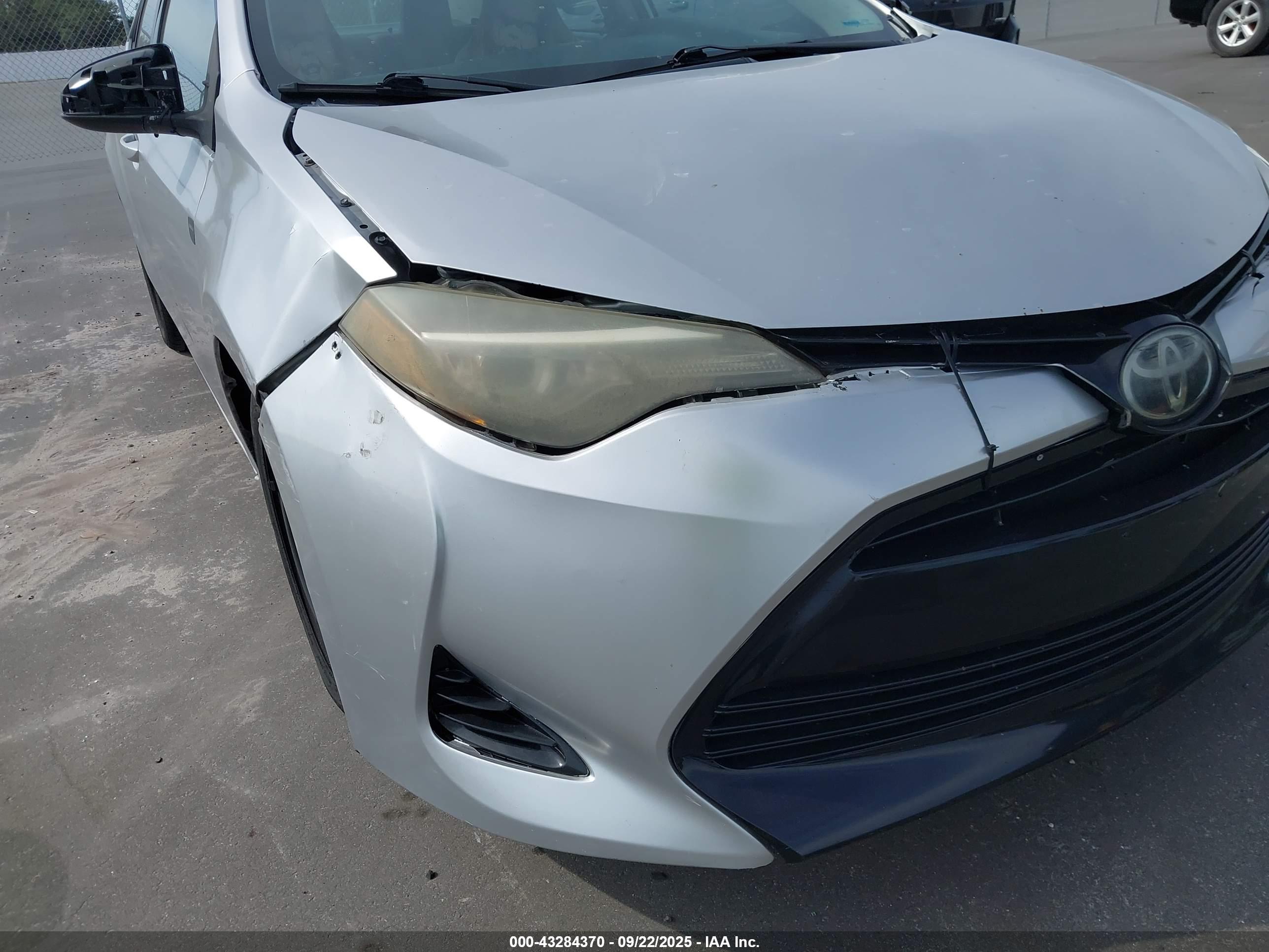 TOYOTA COROLLA image 6