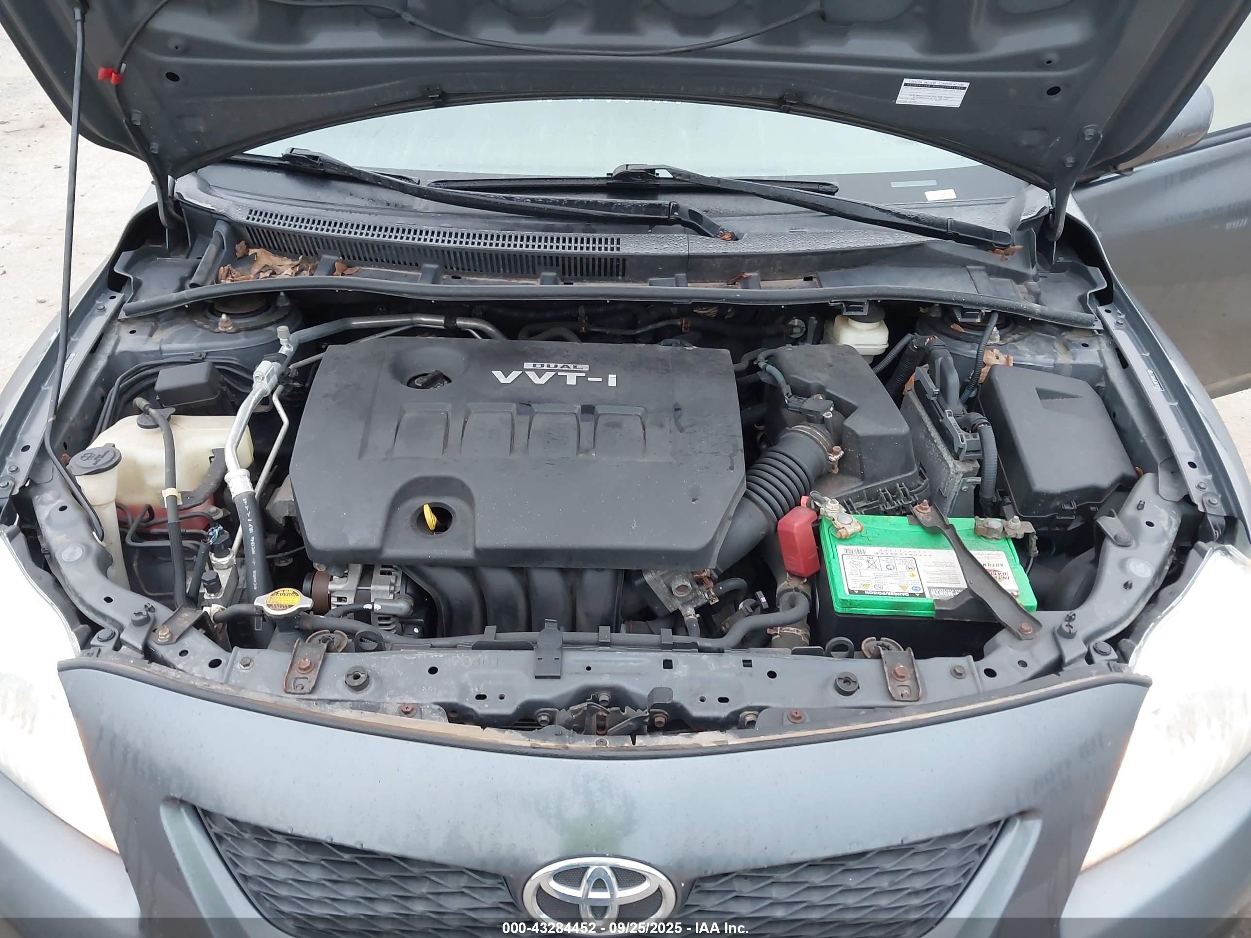 TOYOTA COROLLA image 10