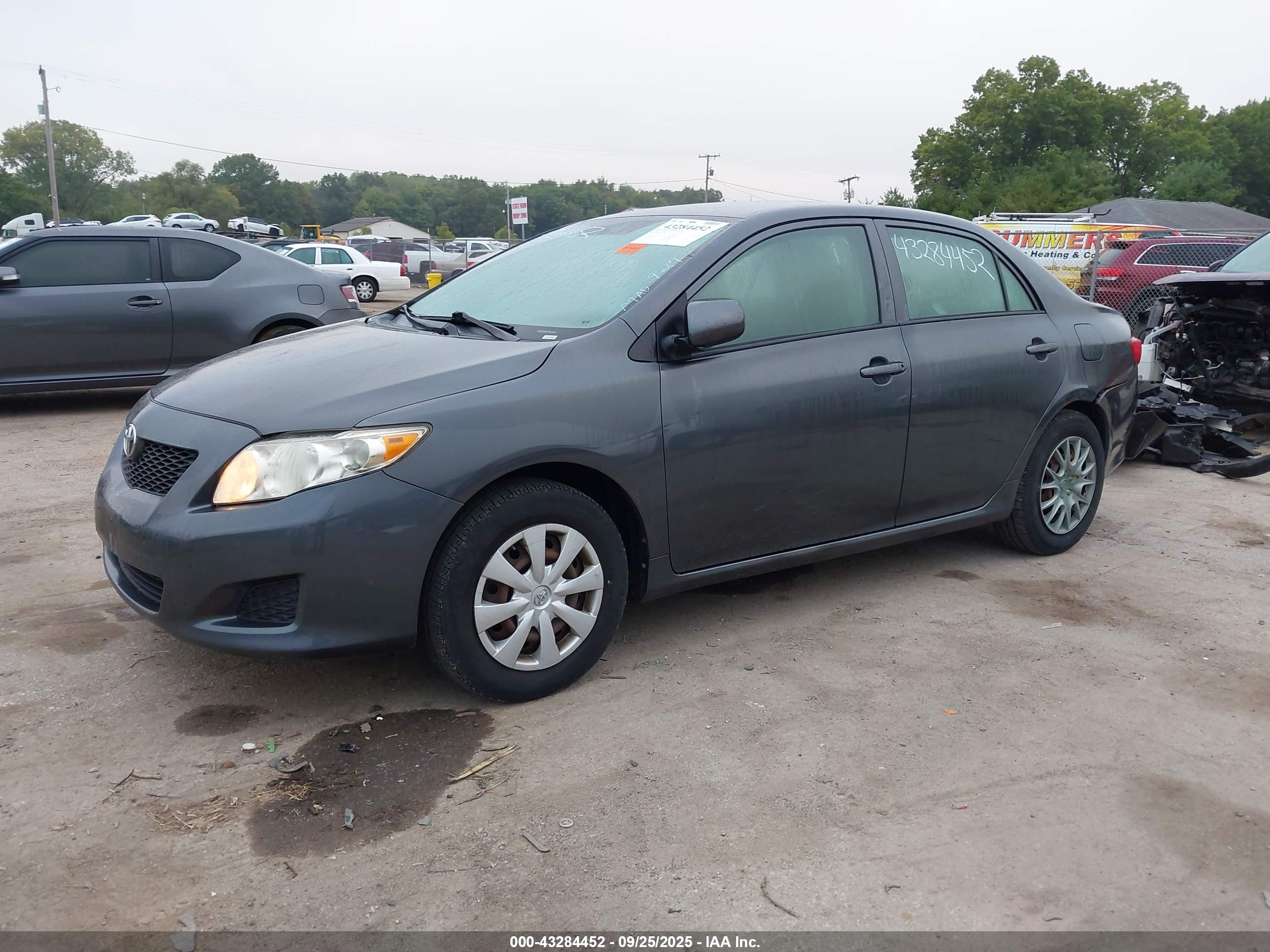 TOYOTA COROLLA image 2