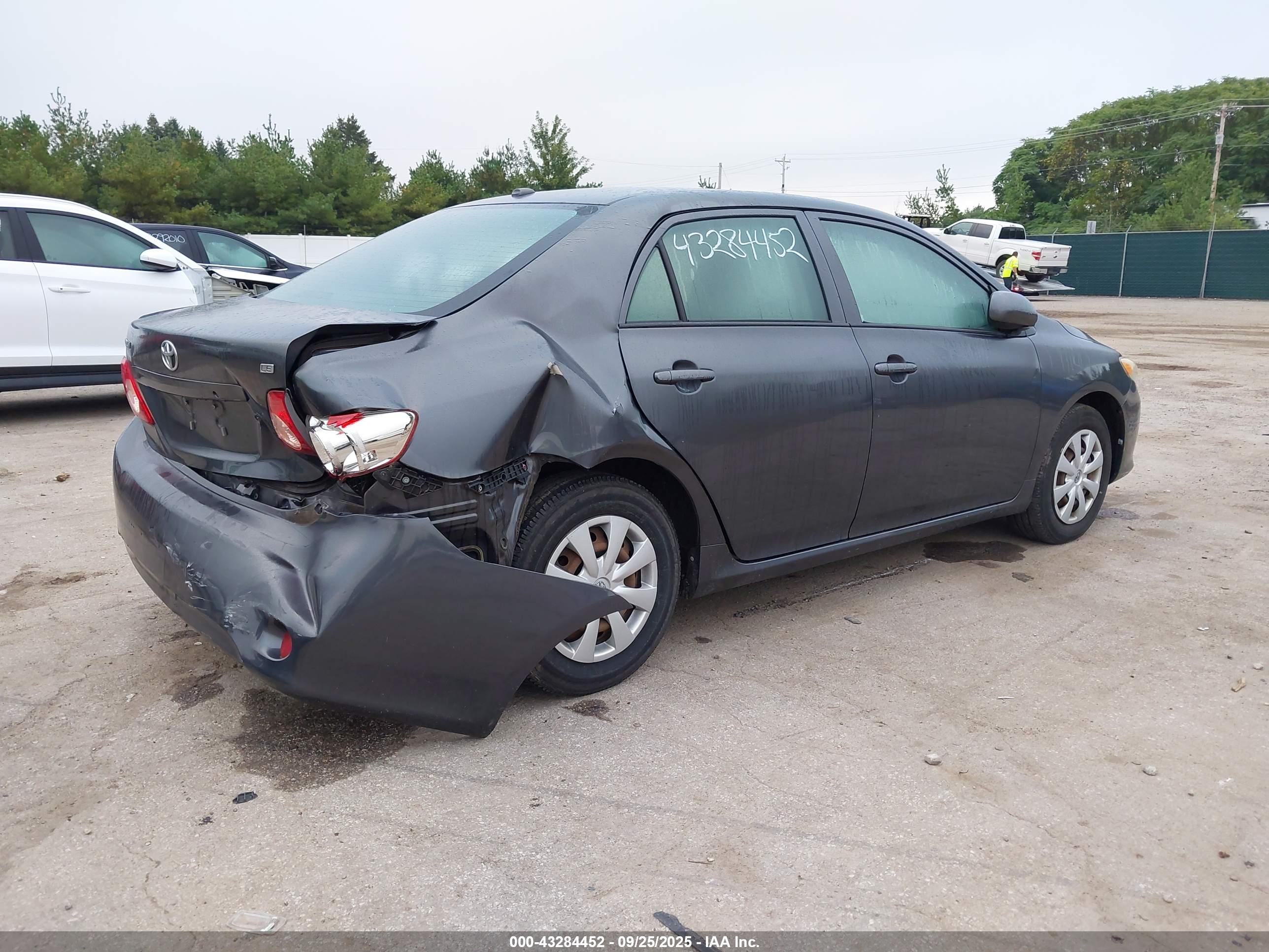 TOYOTA COROLLA image 4