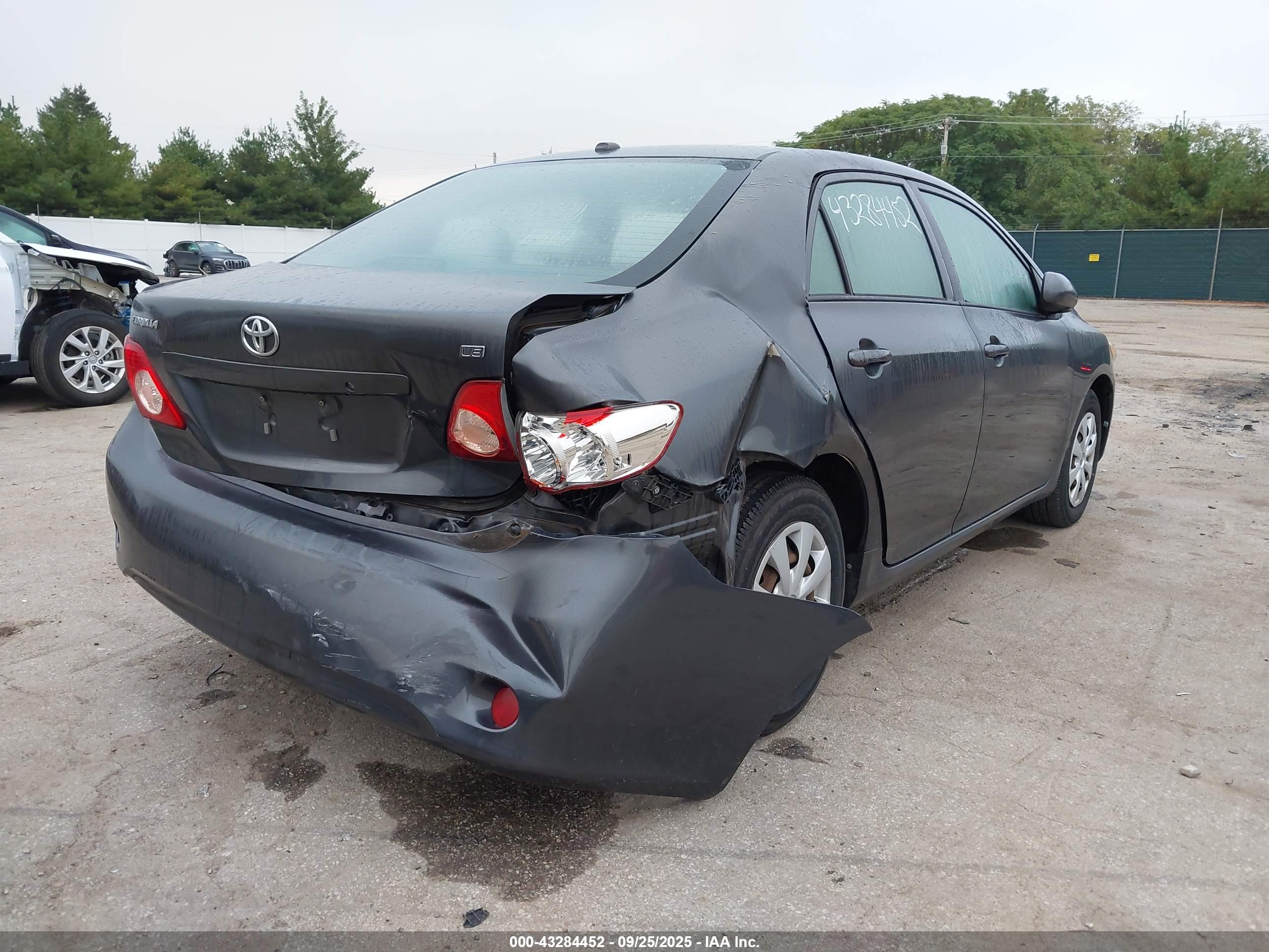 TOYOTA COROLLA image 6