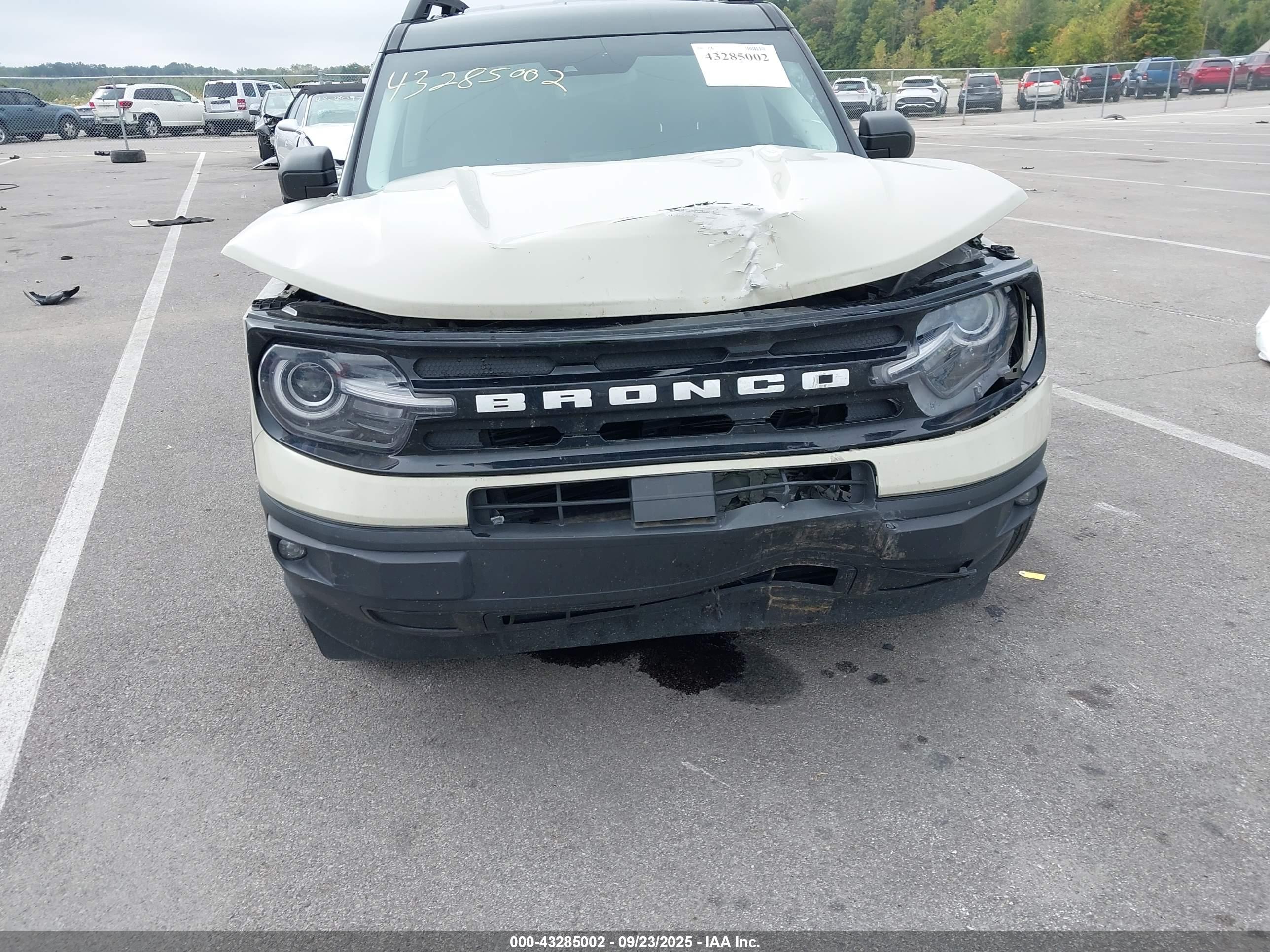 FORD BRONCO image 6