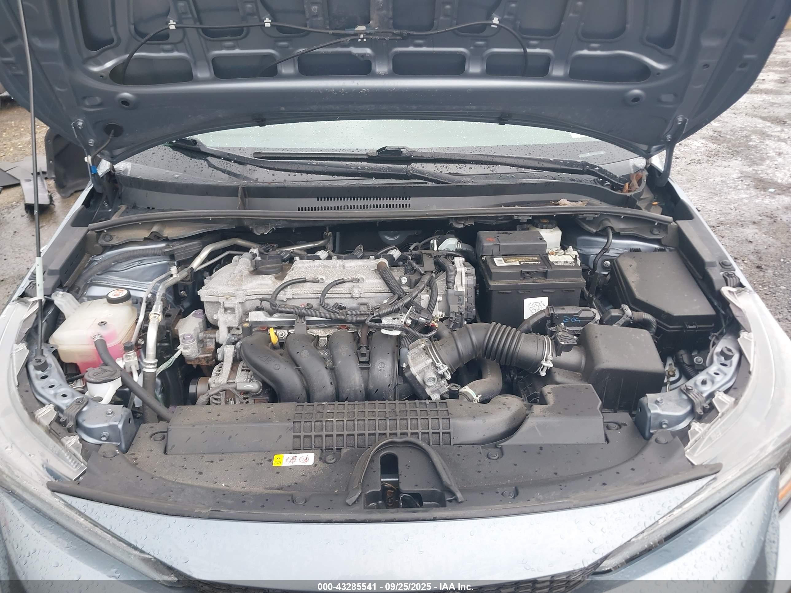 TOYOTA COROLLA image 10