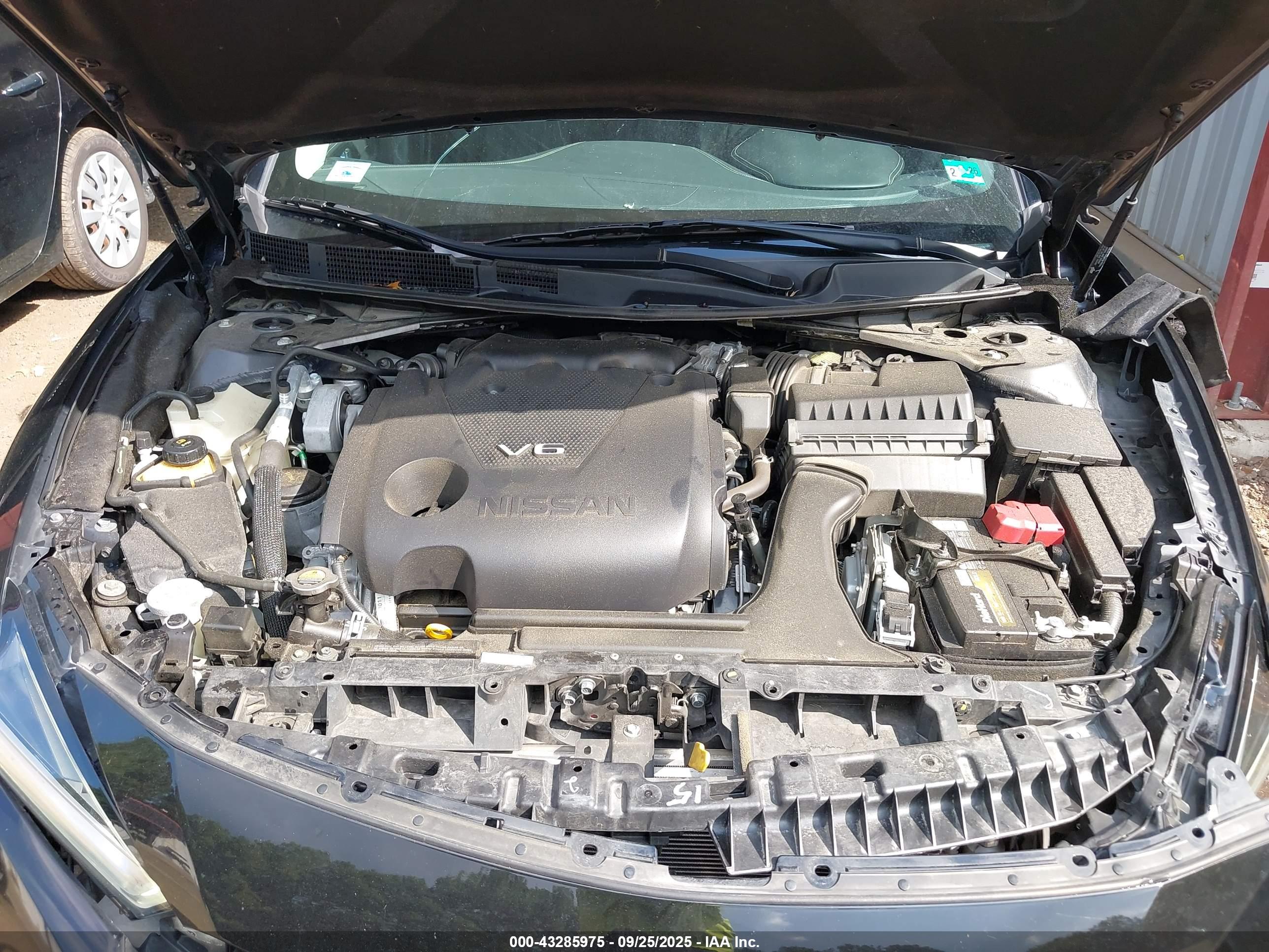 NISSAN MAXIMA image 10