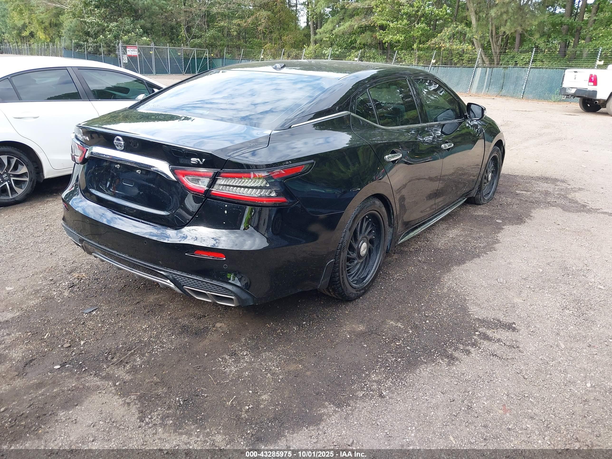 NISSAN MAXIMA image 4