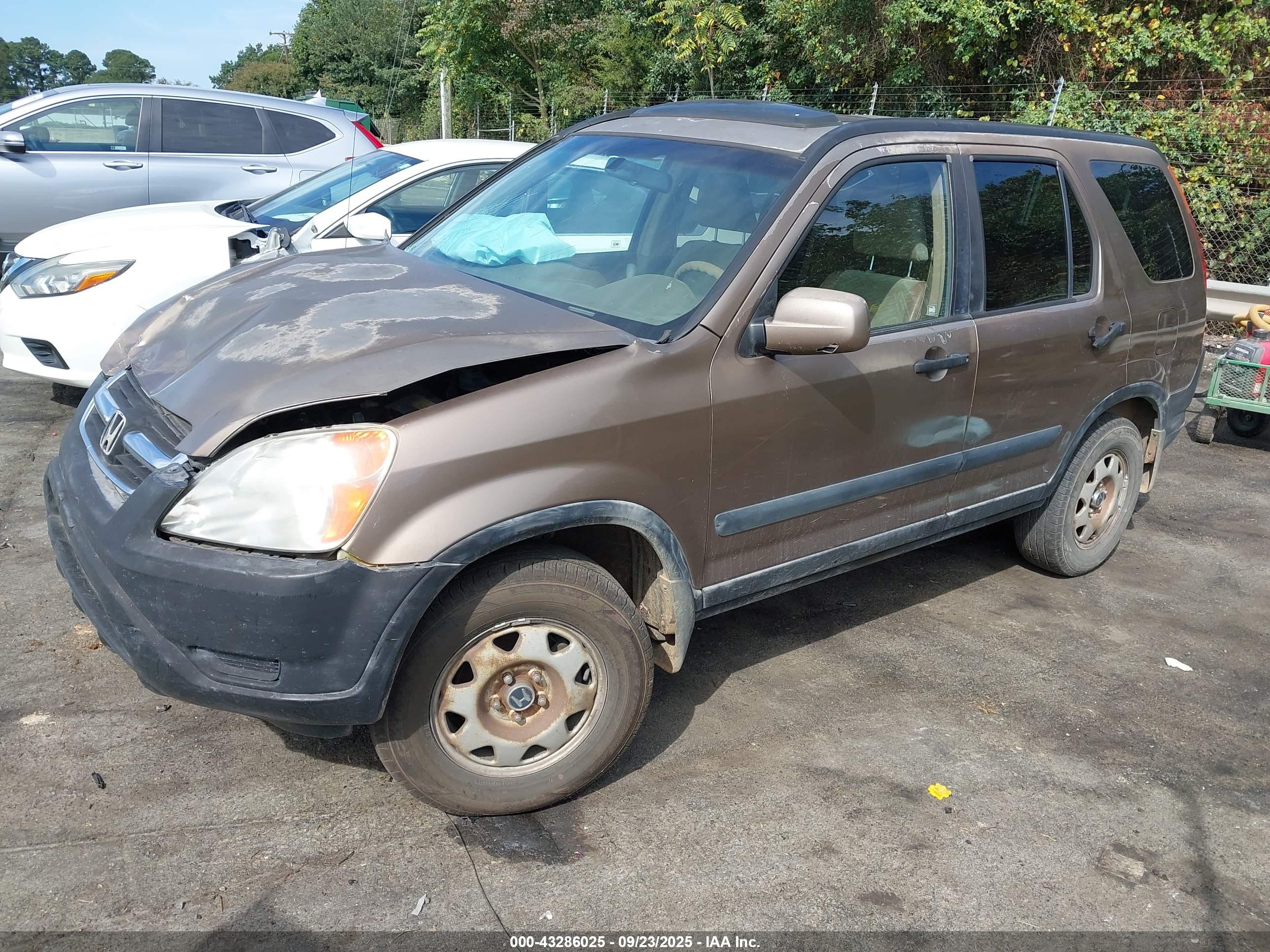HONDA CR-V image 2