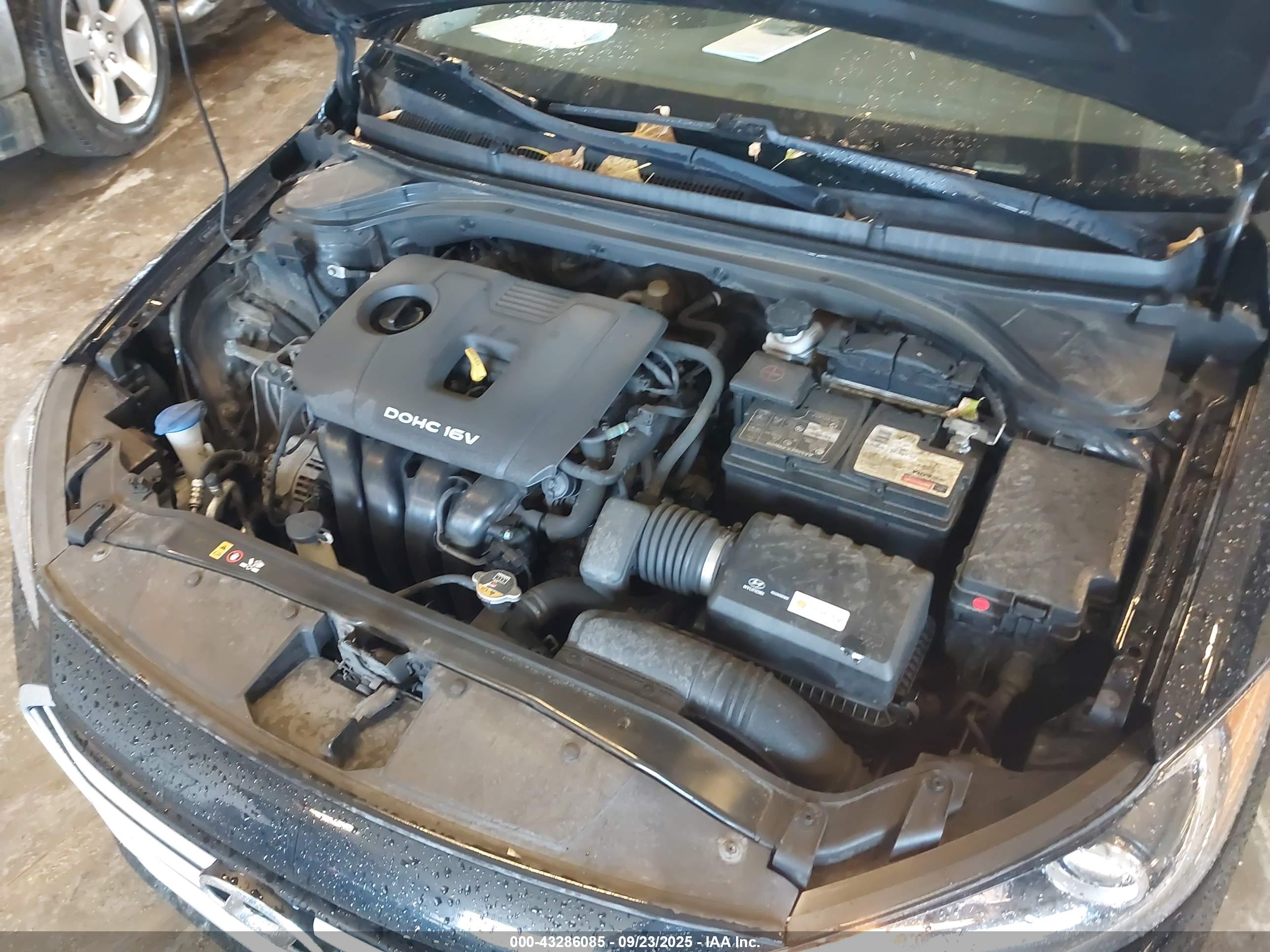 HYUNDAI ELANTRA image 10