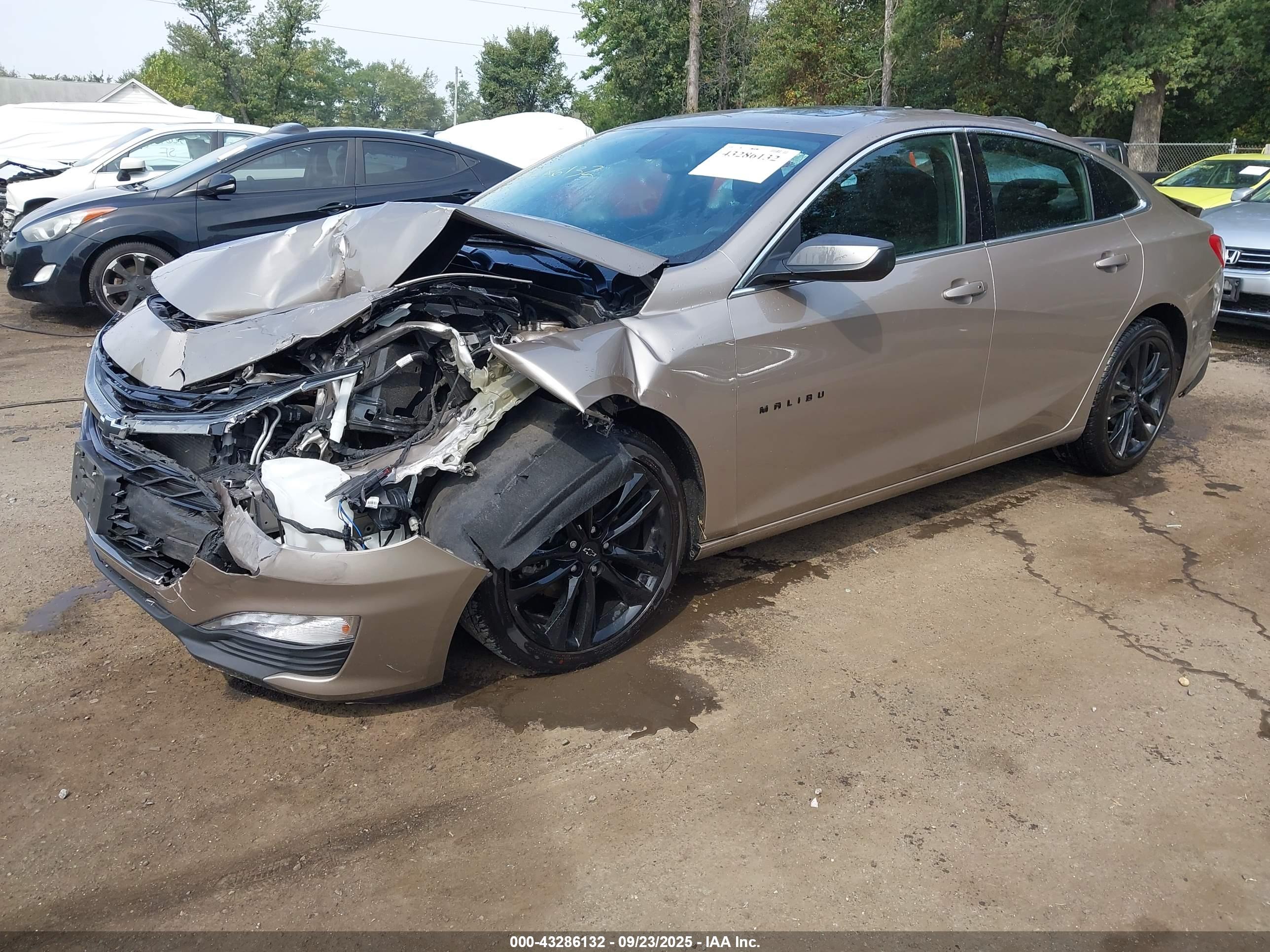 CHEVROLET MALIBU image 2