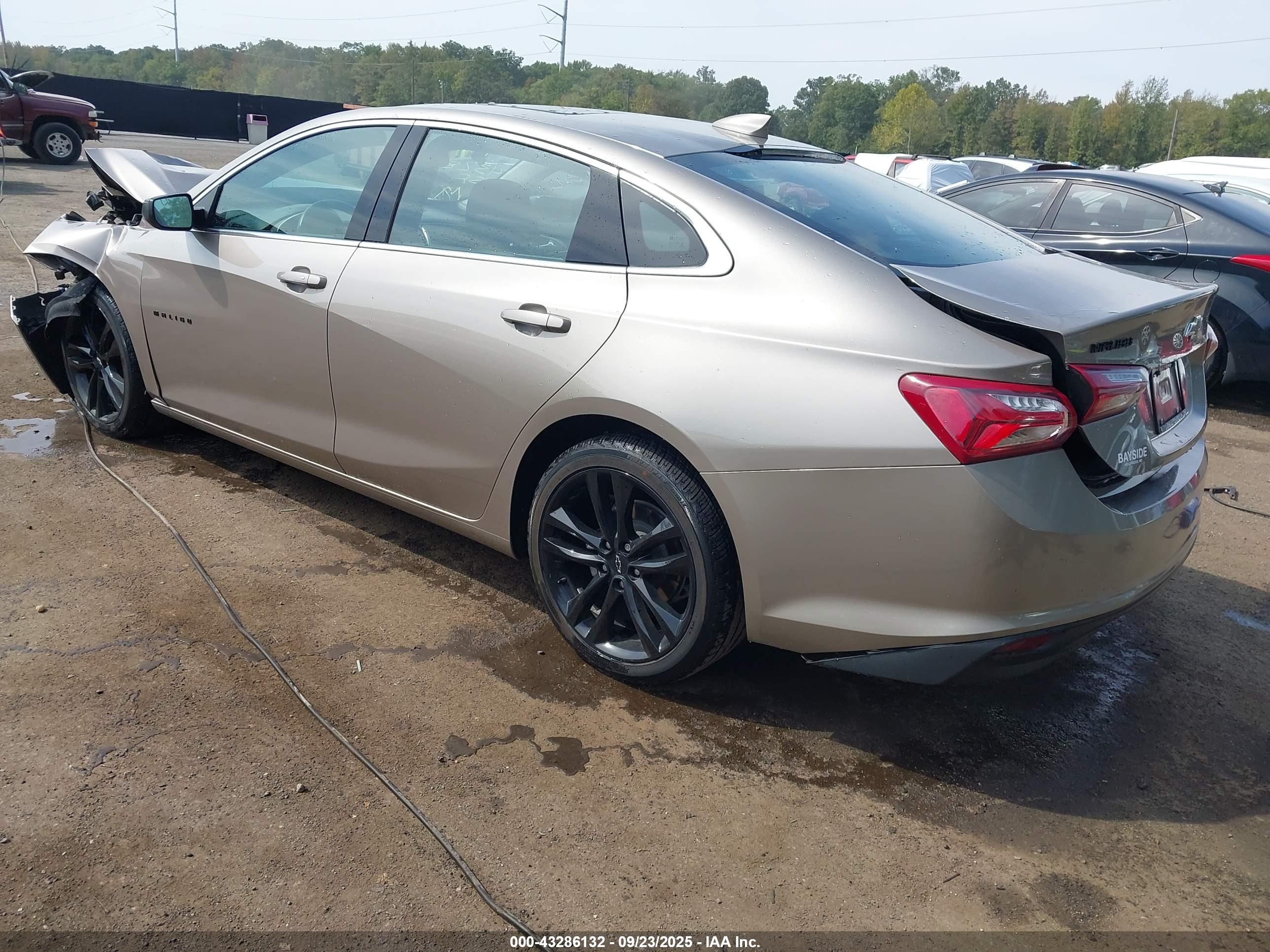 CHEVROLET MALIBU image 3