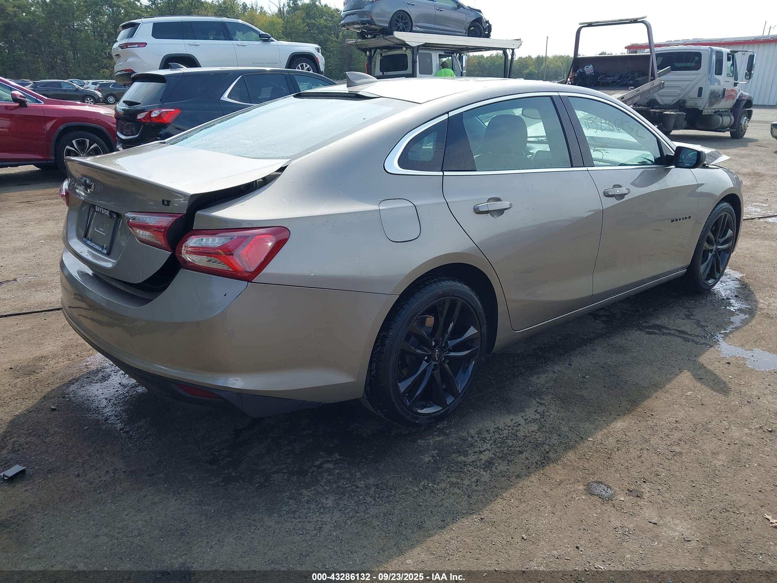 CHEVROLET MALIBU image 4