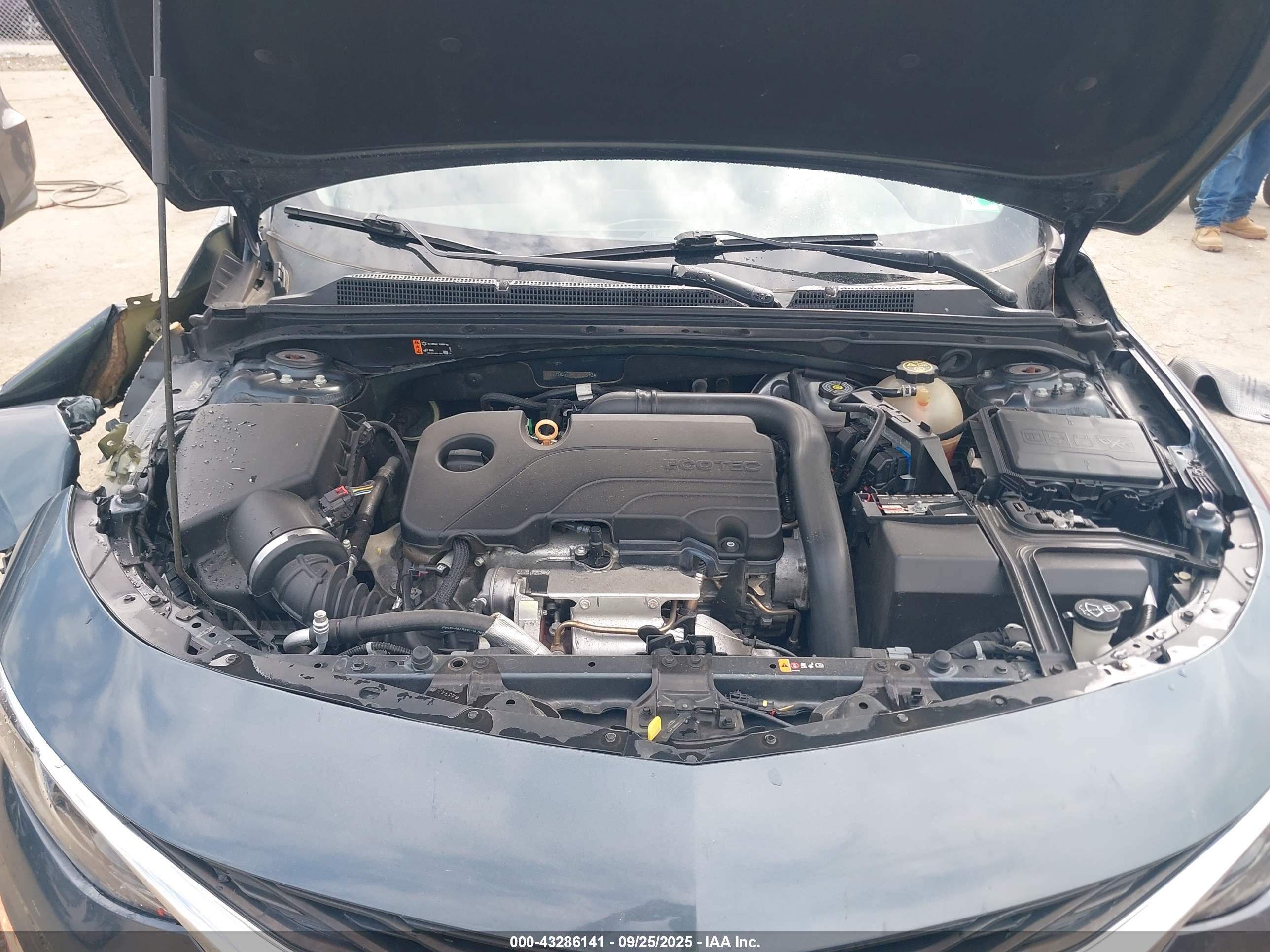 CHEVROLET MALIBU image 10