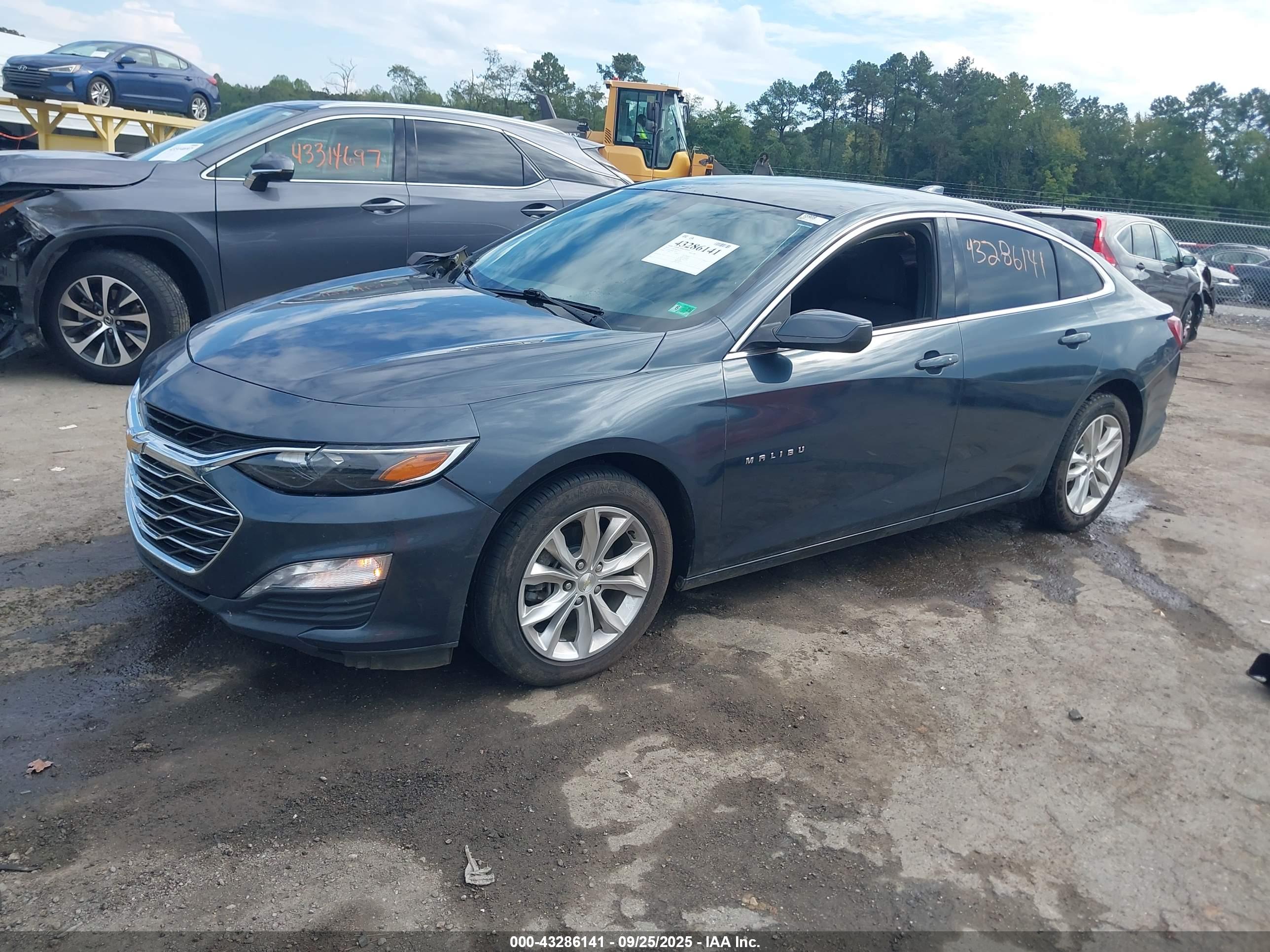 CHEVROLET MALIBU image 2