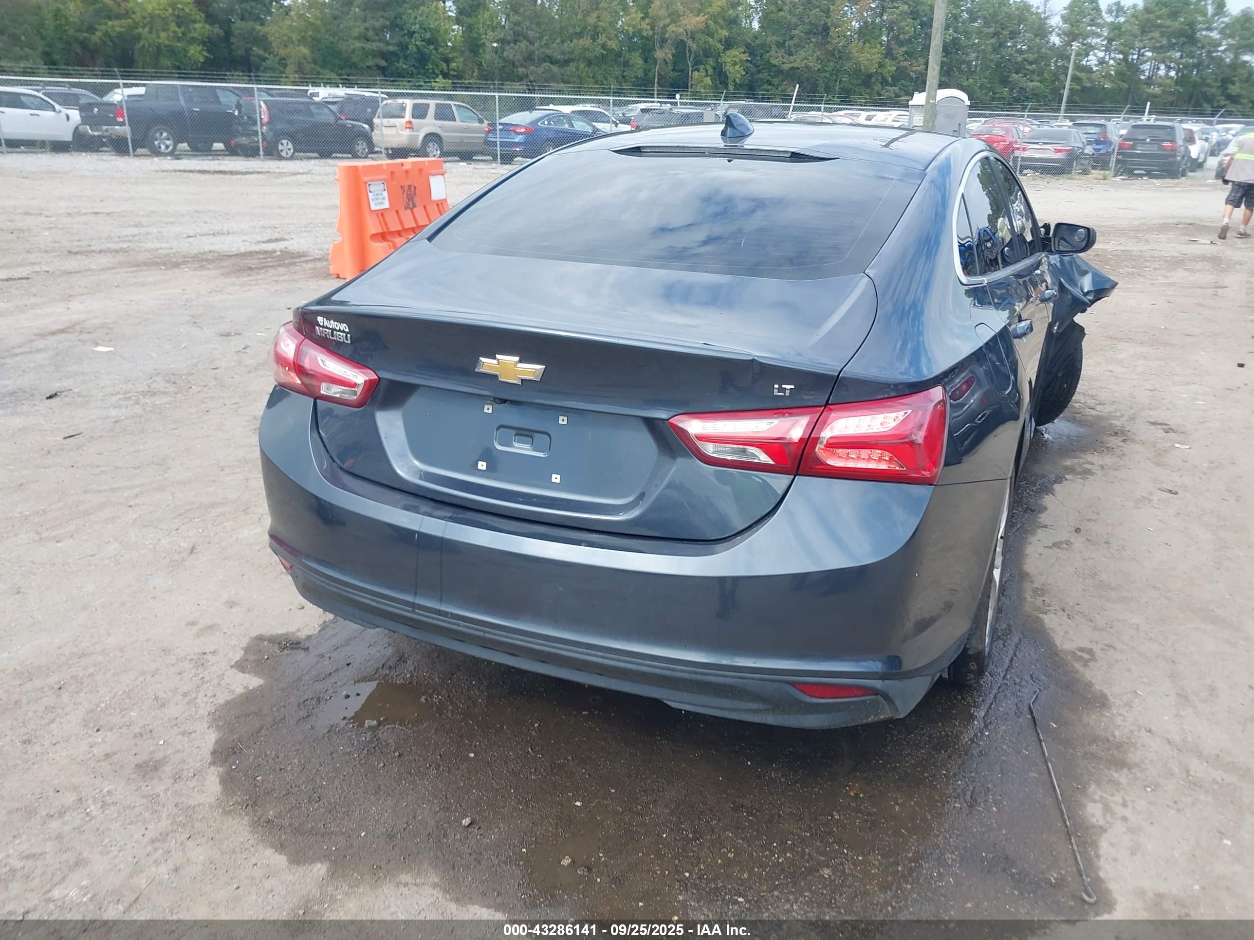 CHEVROLET MALIBU image 4