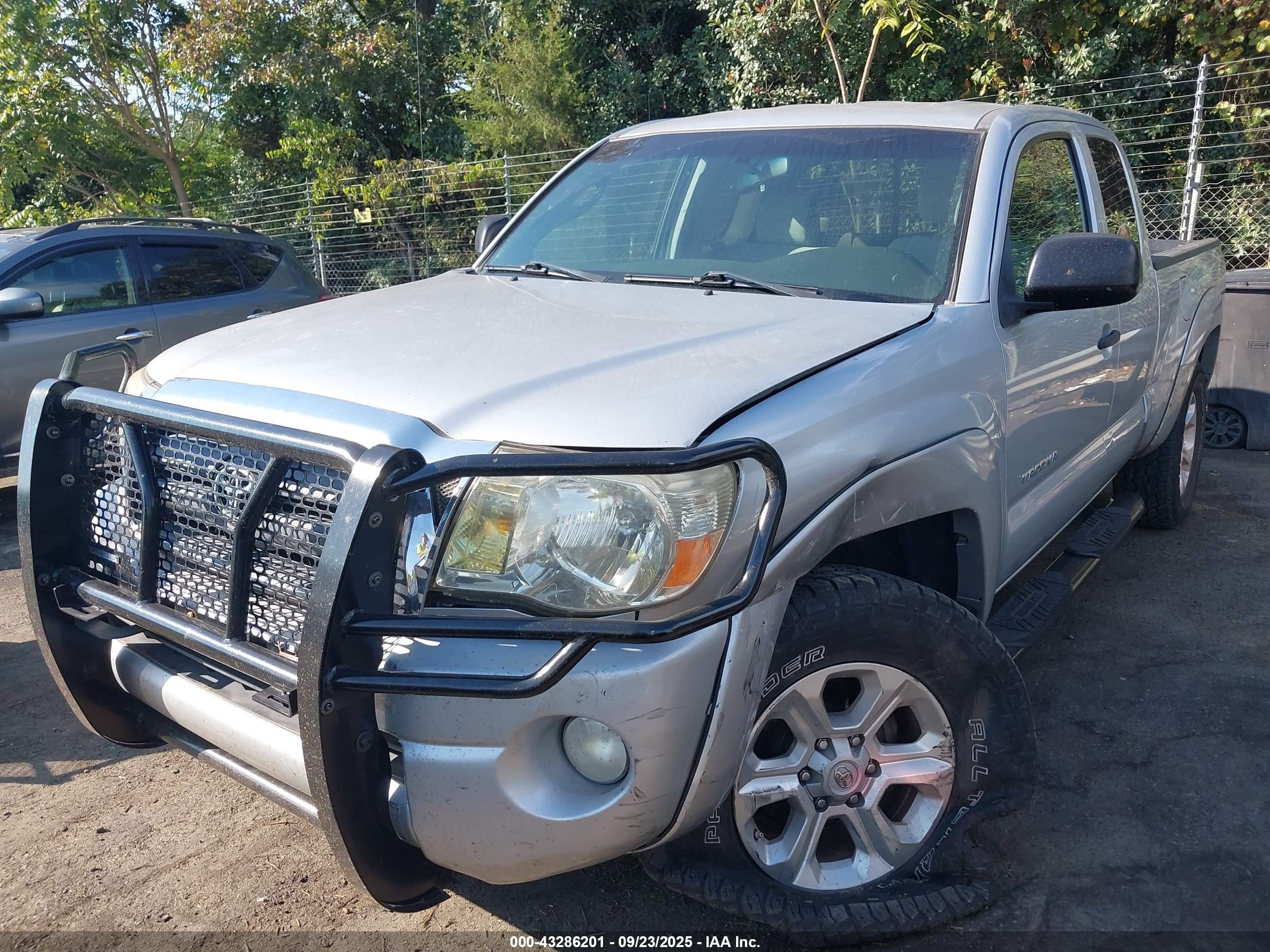TOYOTA TACOMA image 2