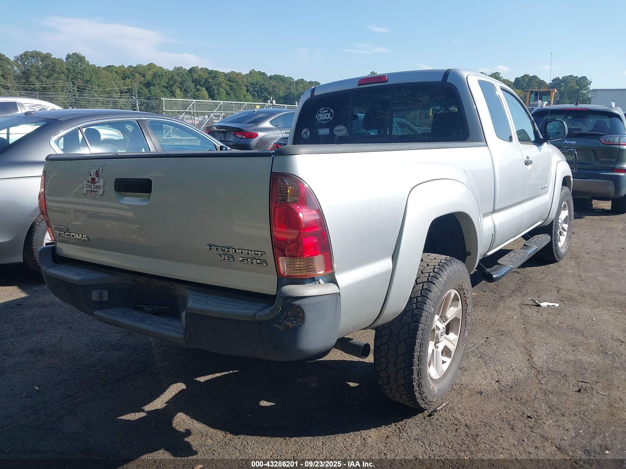 TOYOTA TACOMA image 4