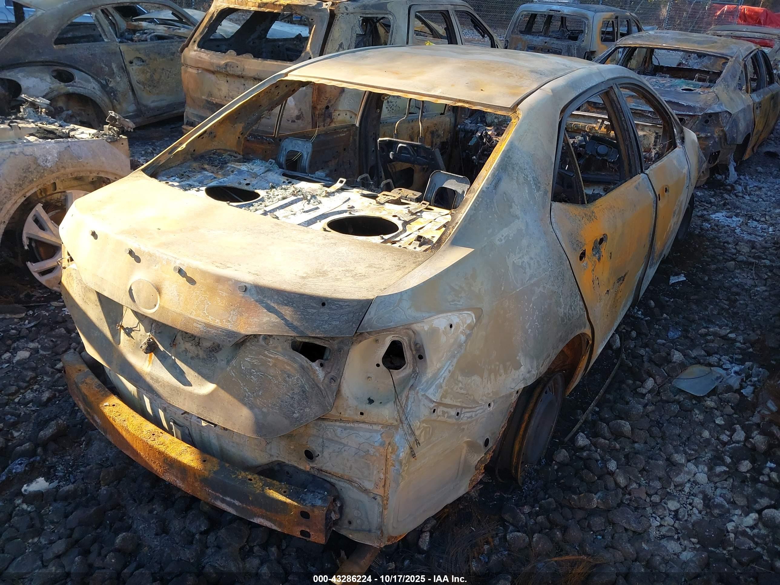TOYOTA COROLLA image 4