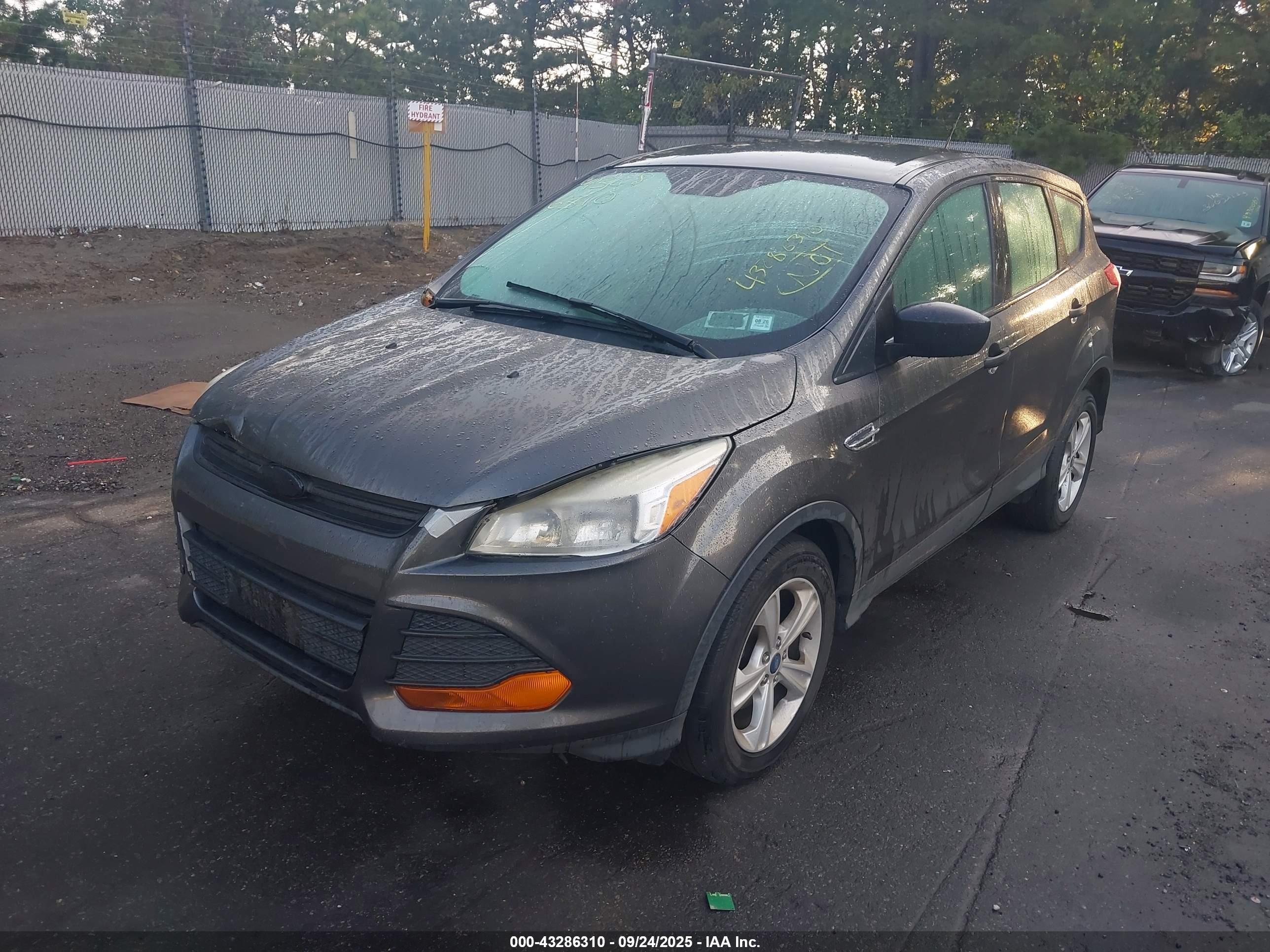 FORD ESCAPE image 2