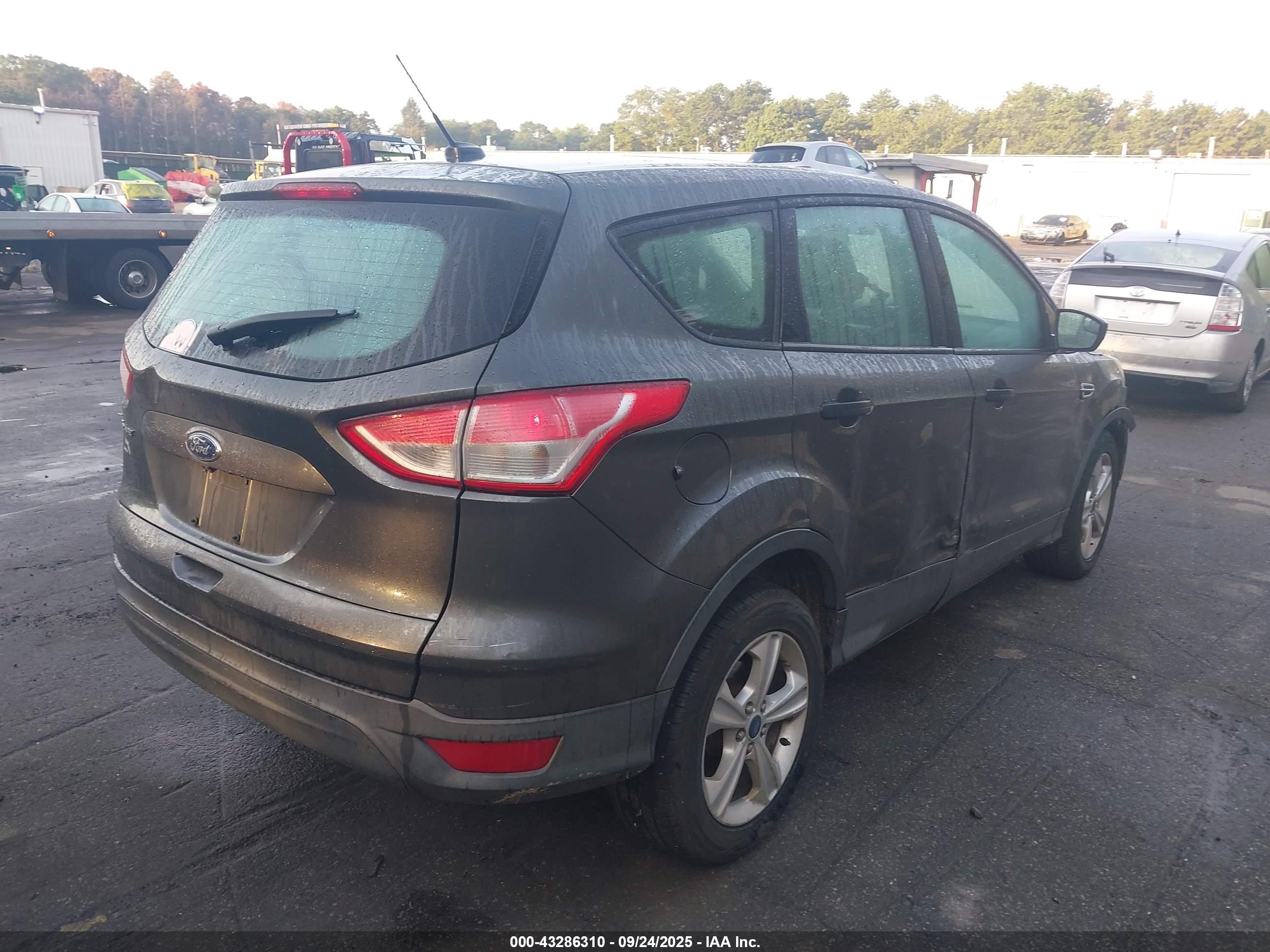 FORD ESCAPE image 4