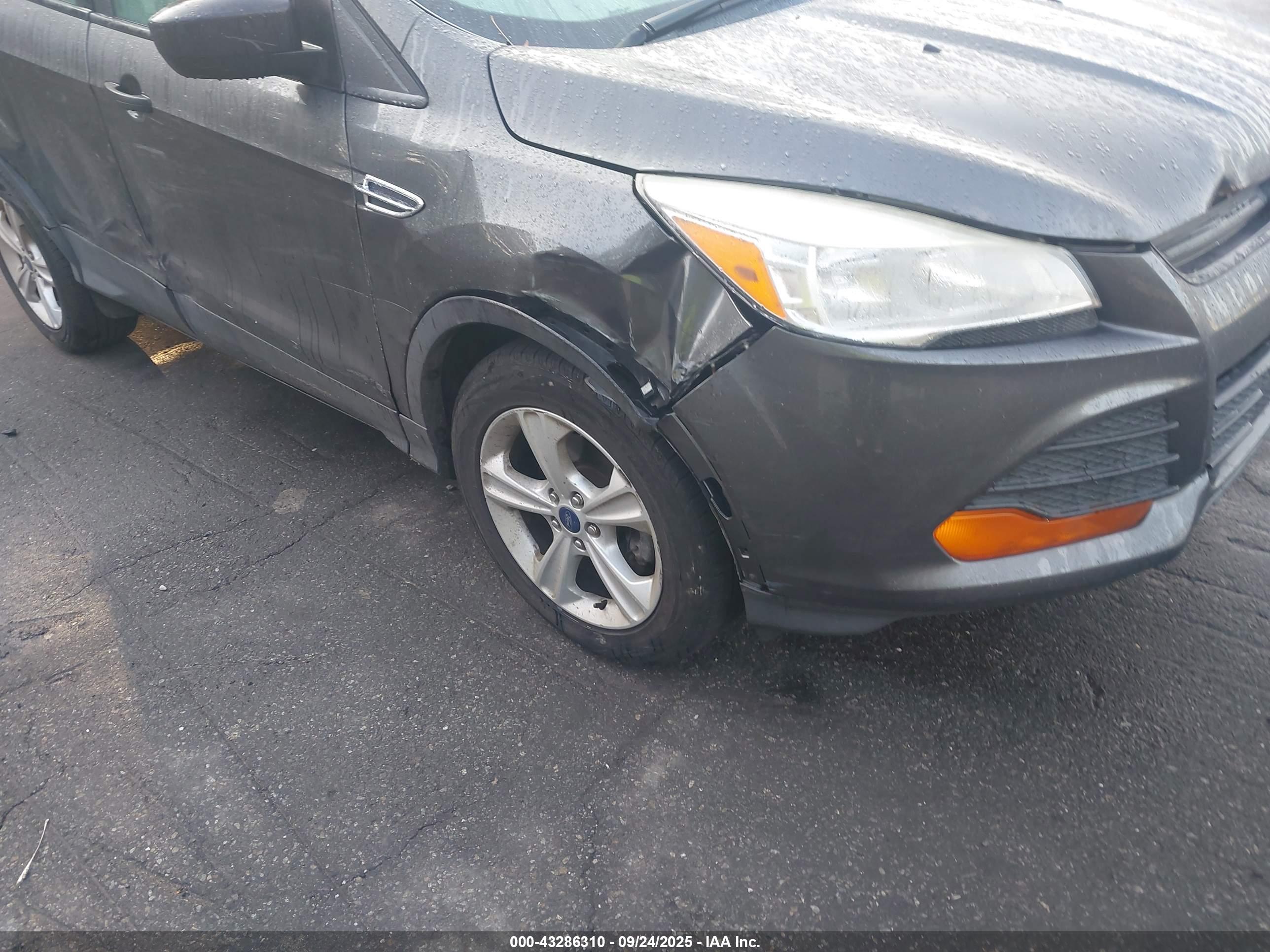 FORD ESCAPE image 6