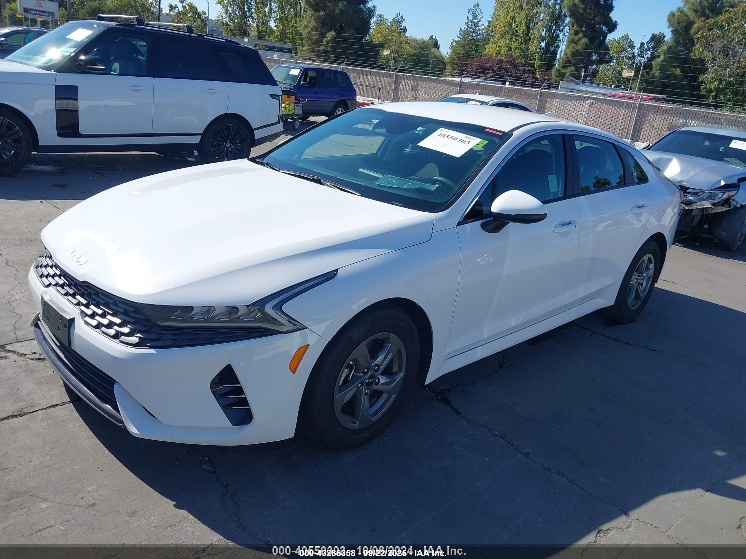 KIA K5 image 2