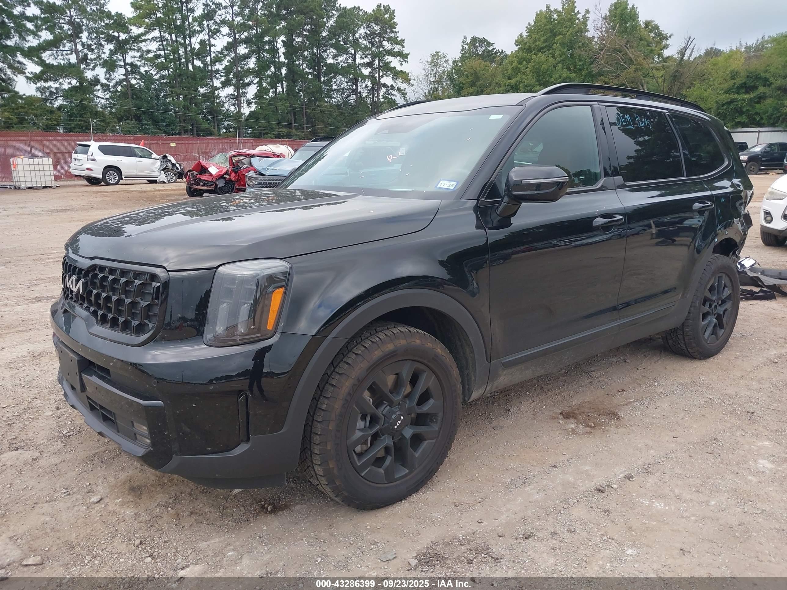 KIA TELLURIDE image 2