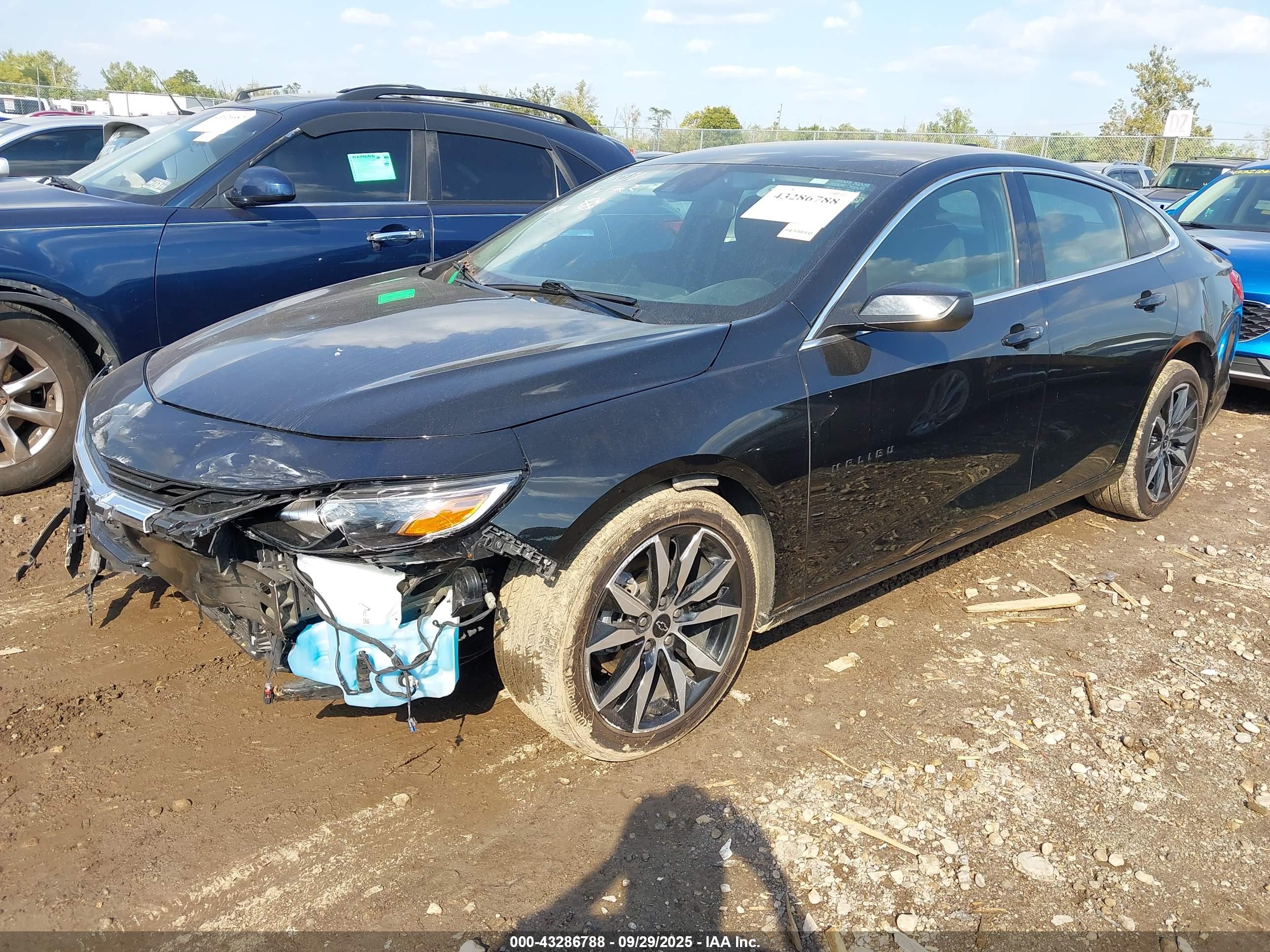 CHEVROLET MALIBU image 2