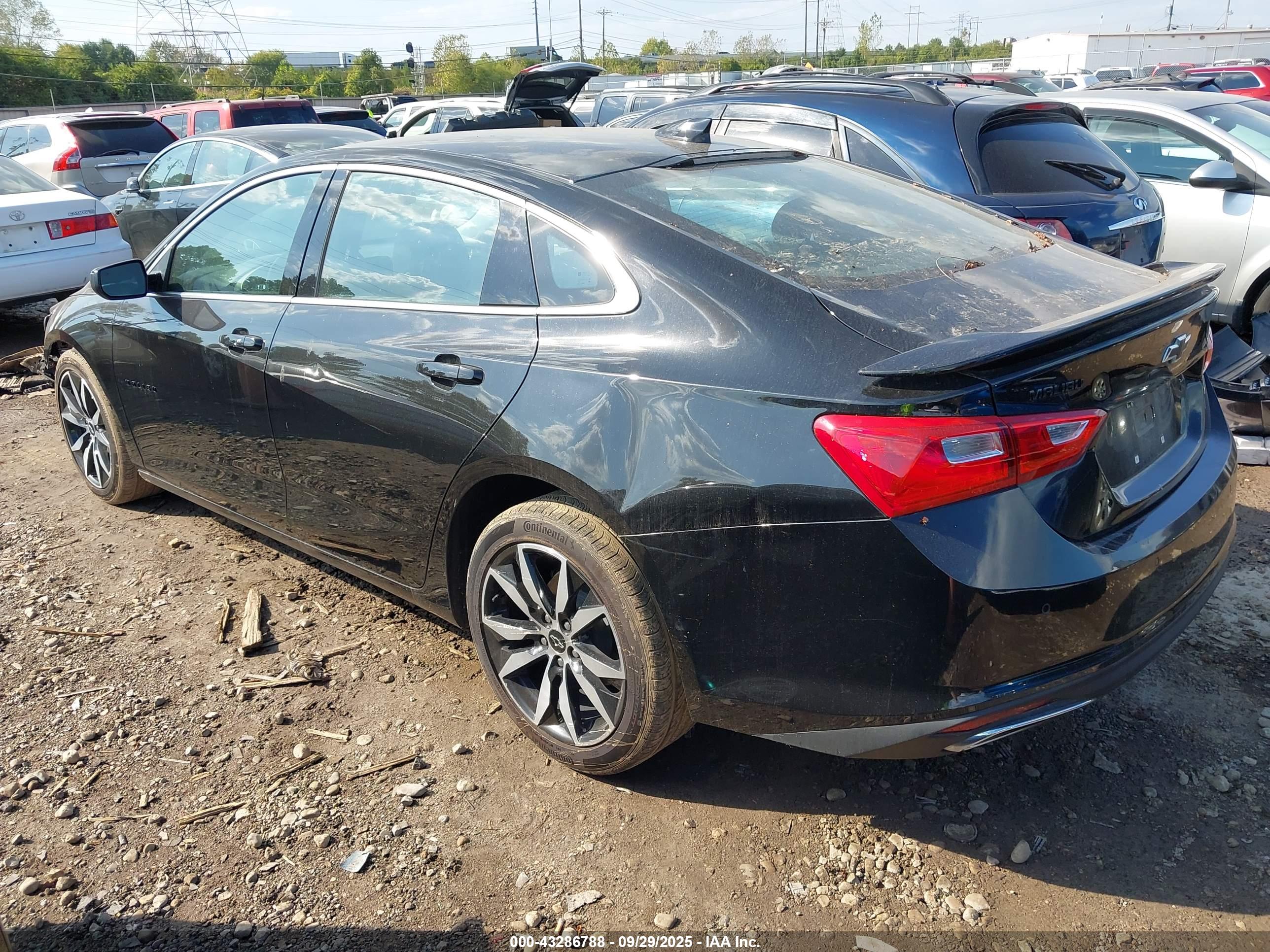 CHEVROLET MALIBU image 3
