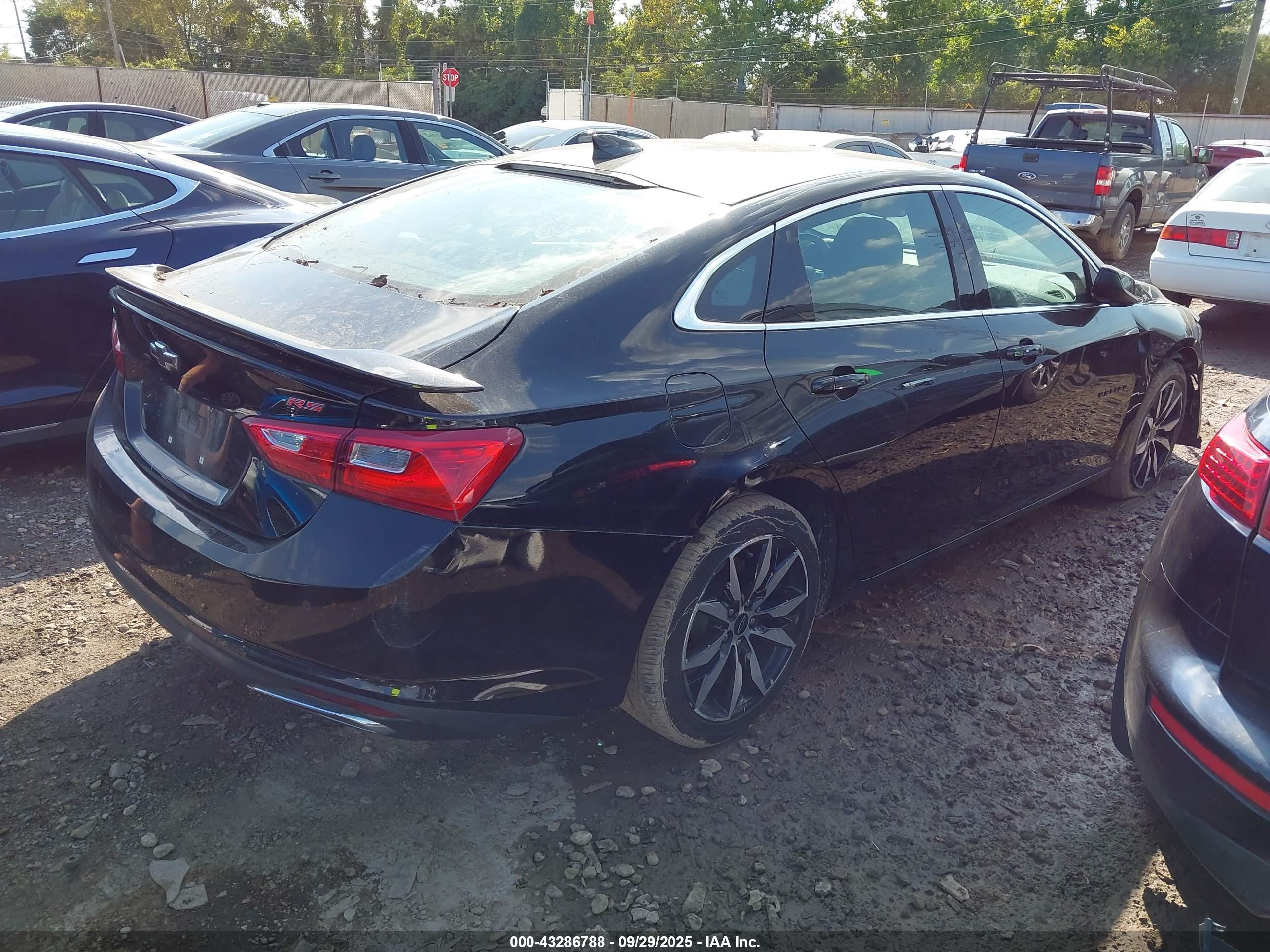 CHEVROLET MALIBU image 4