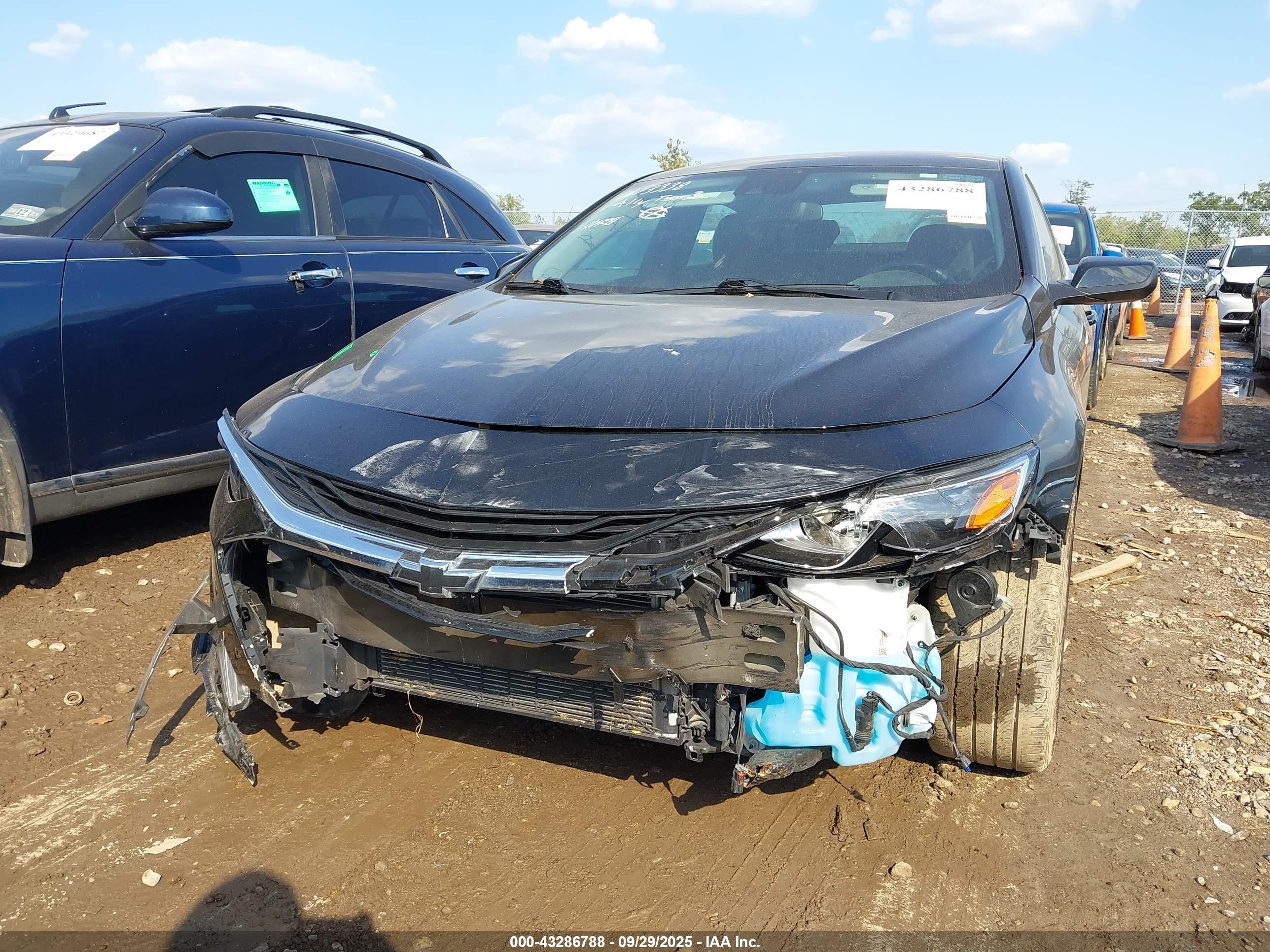 CHEVROLET MALIBU image 6