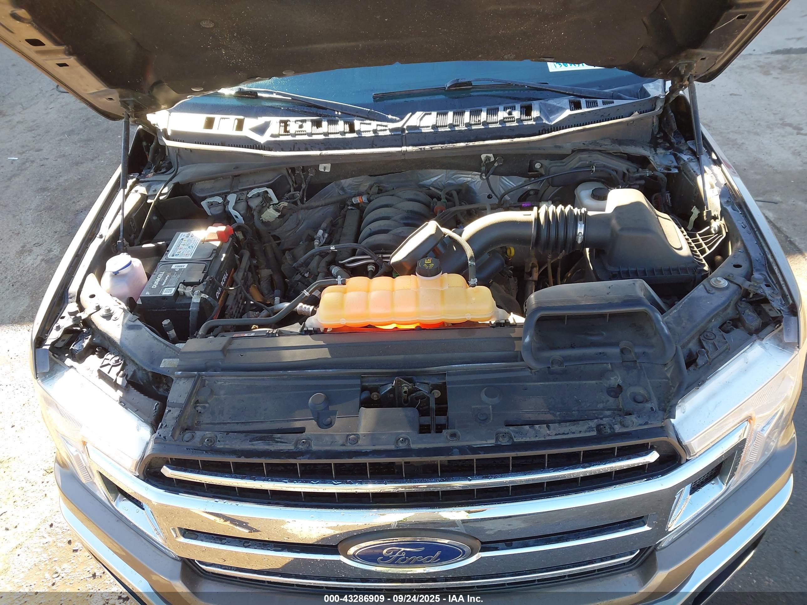 FORD F-150 image 10