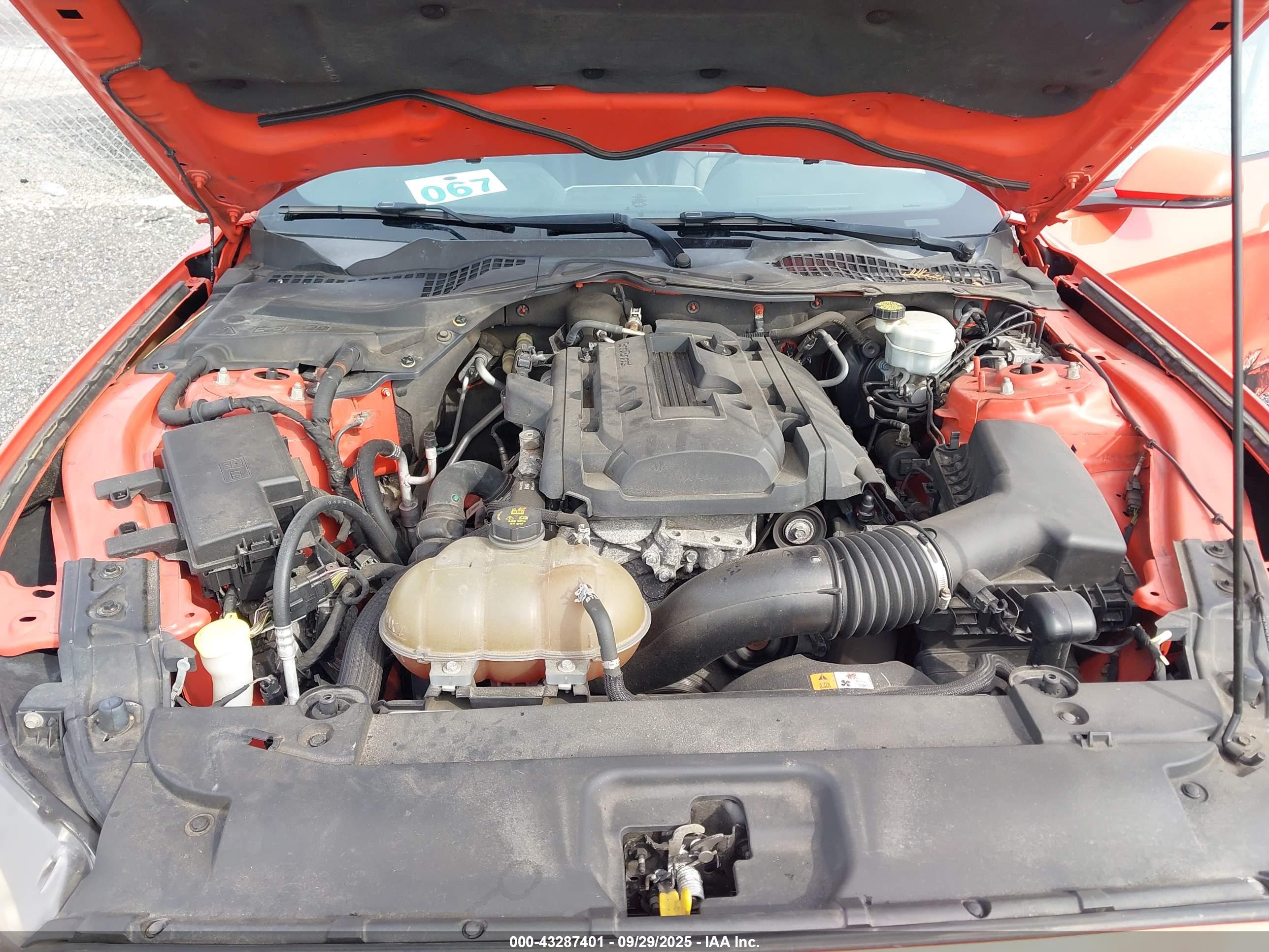 FORD MUSTANG image 10