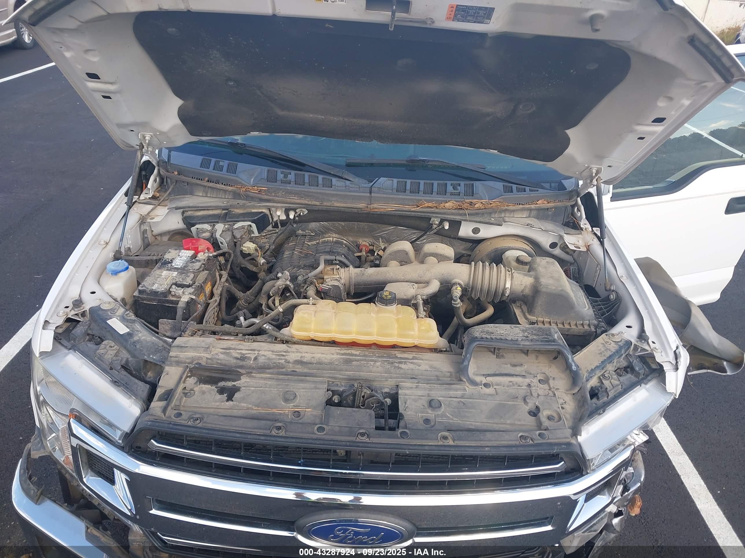 FORD F-150 image 10