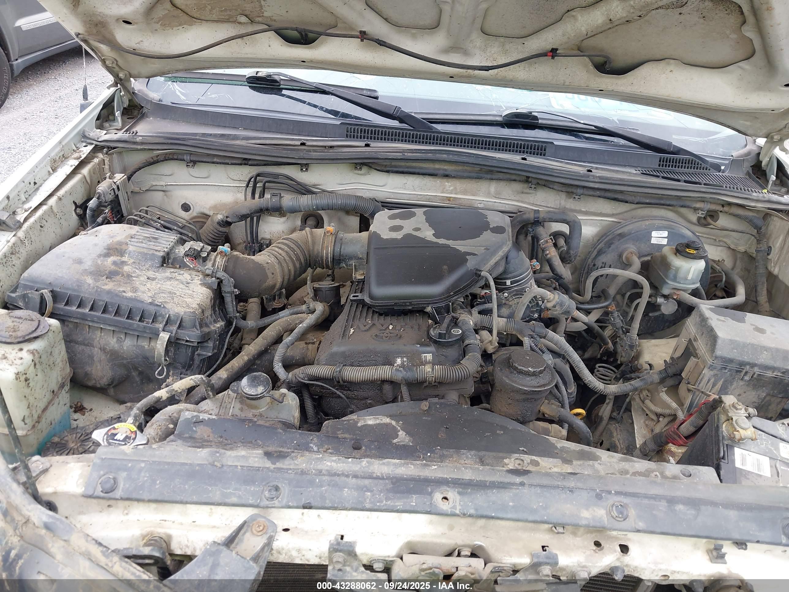TOYOTA TACOMA image 10