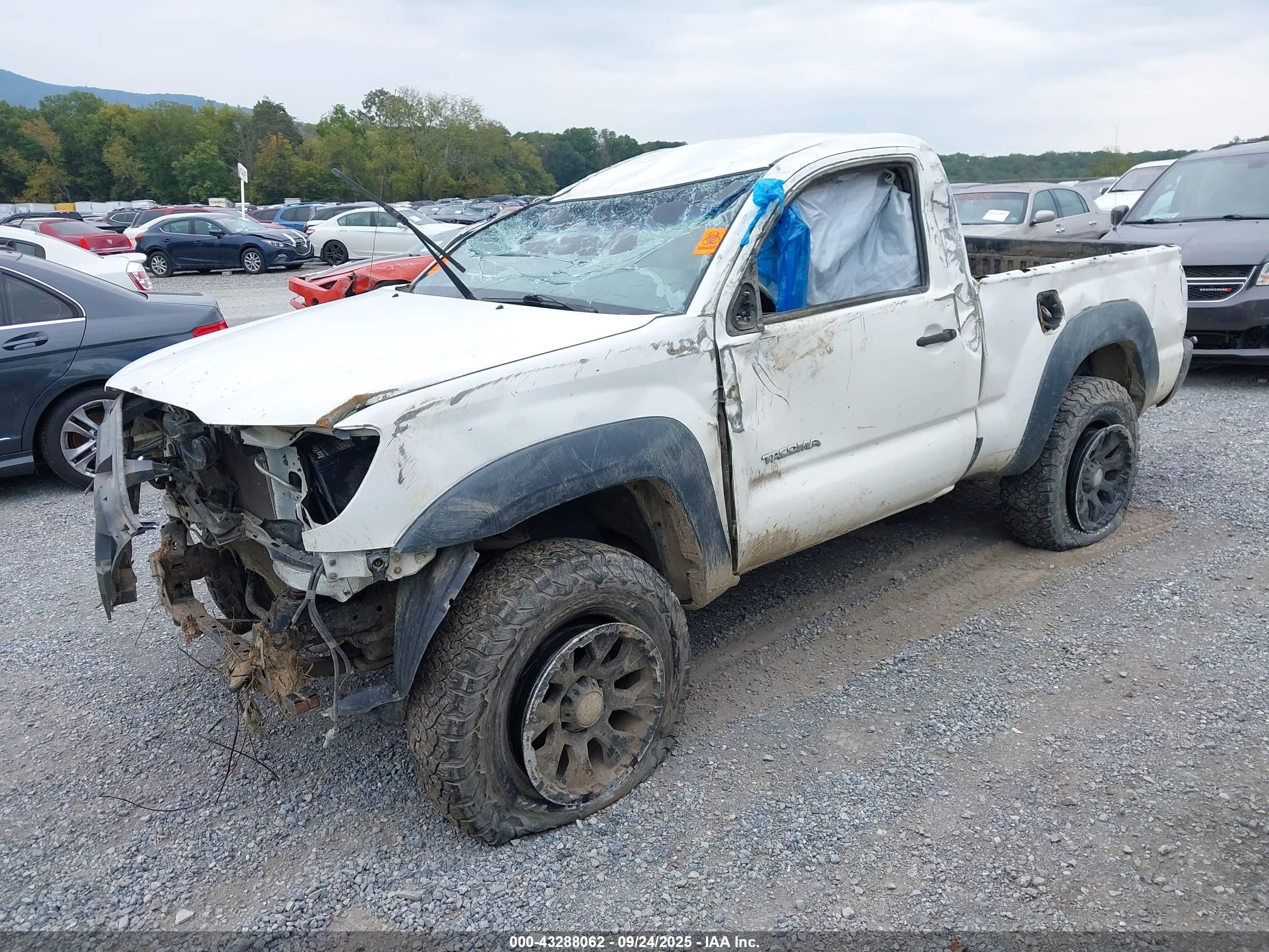 TOYOTA TACOMA image 2