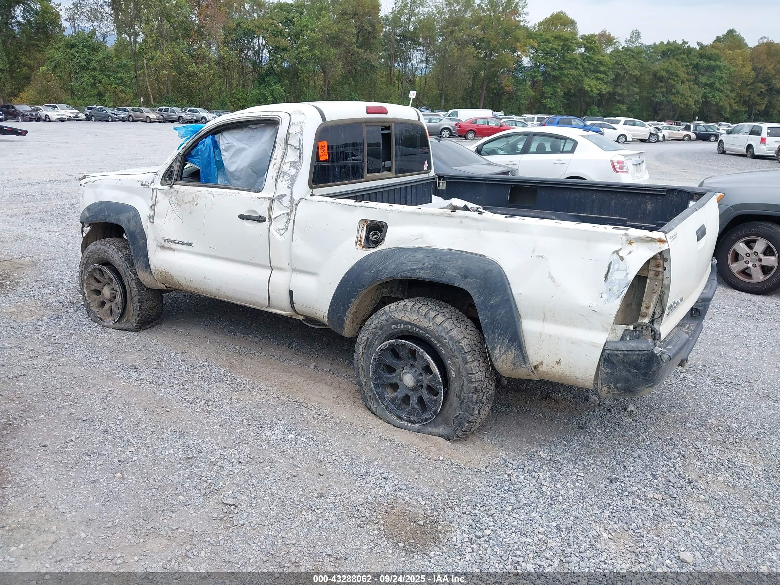 TOYOTA TACOMA image 3