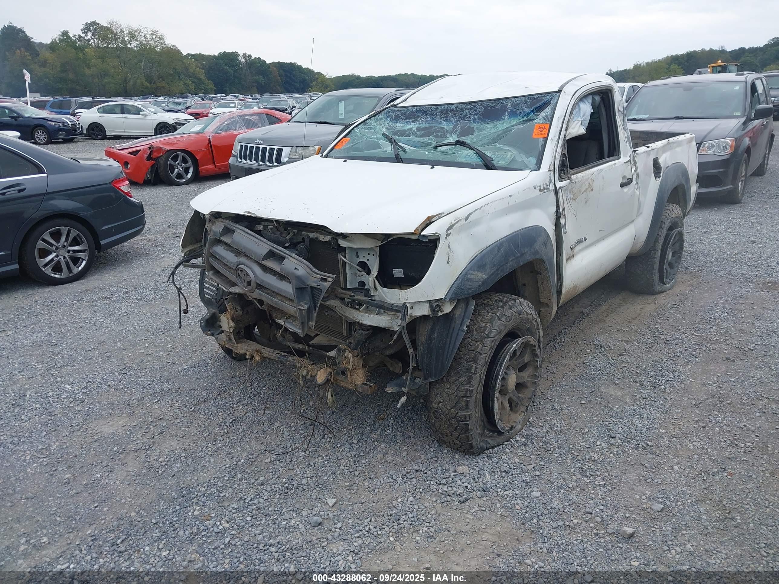 TOYOTA TACOMA image 6
