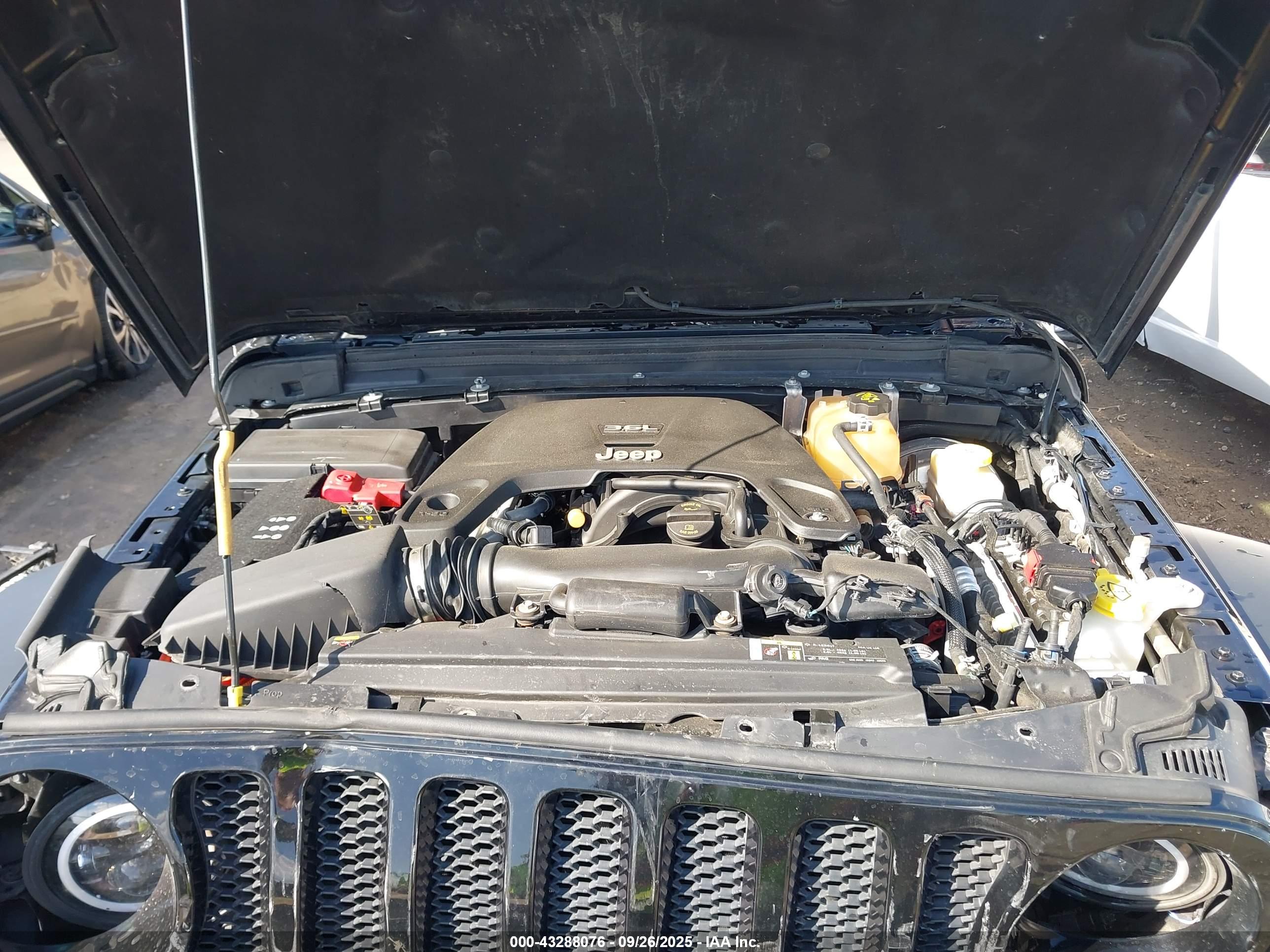 JEEP WRANGLER image 10