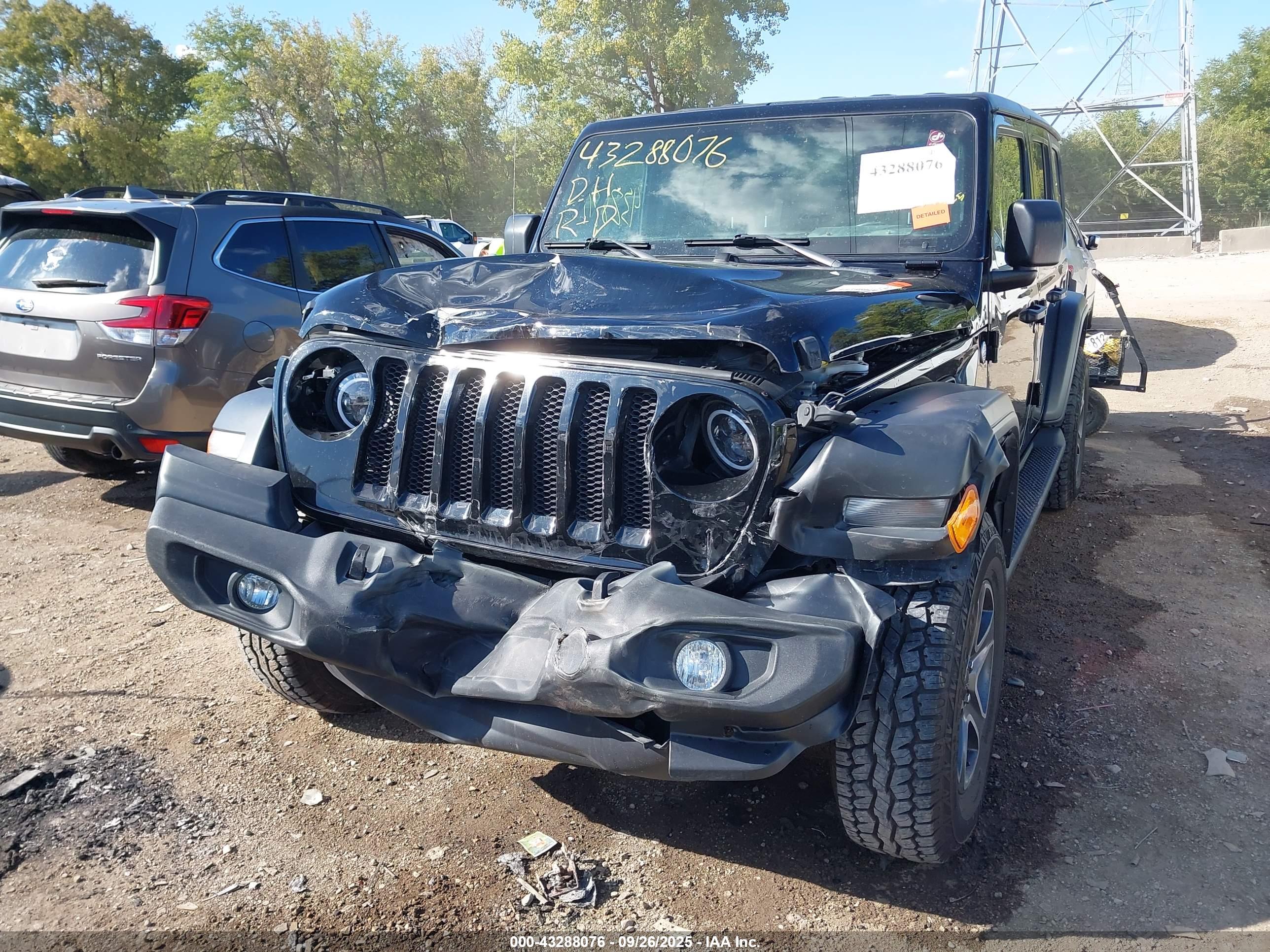 JEEP WRANGLER image 6