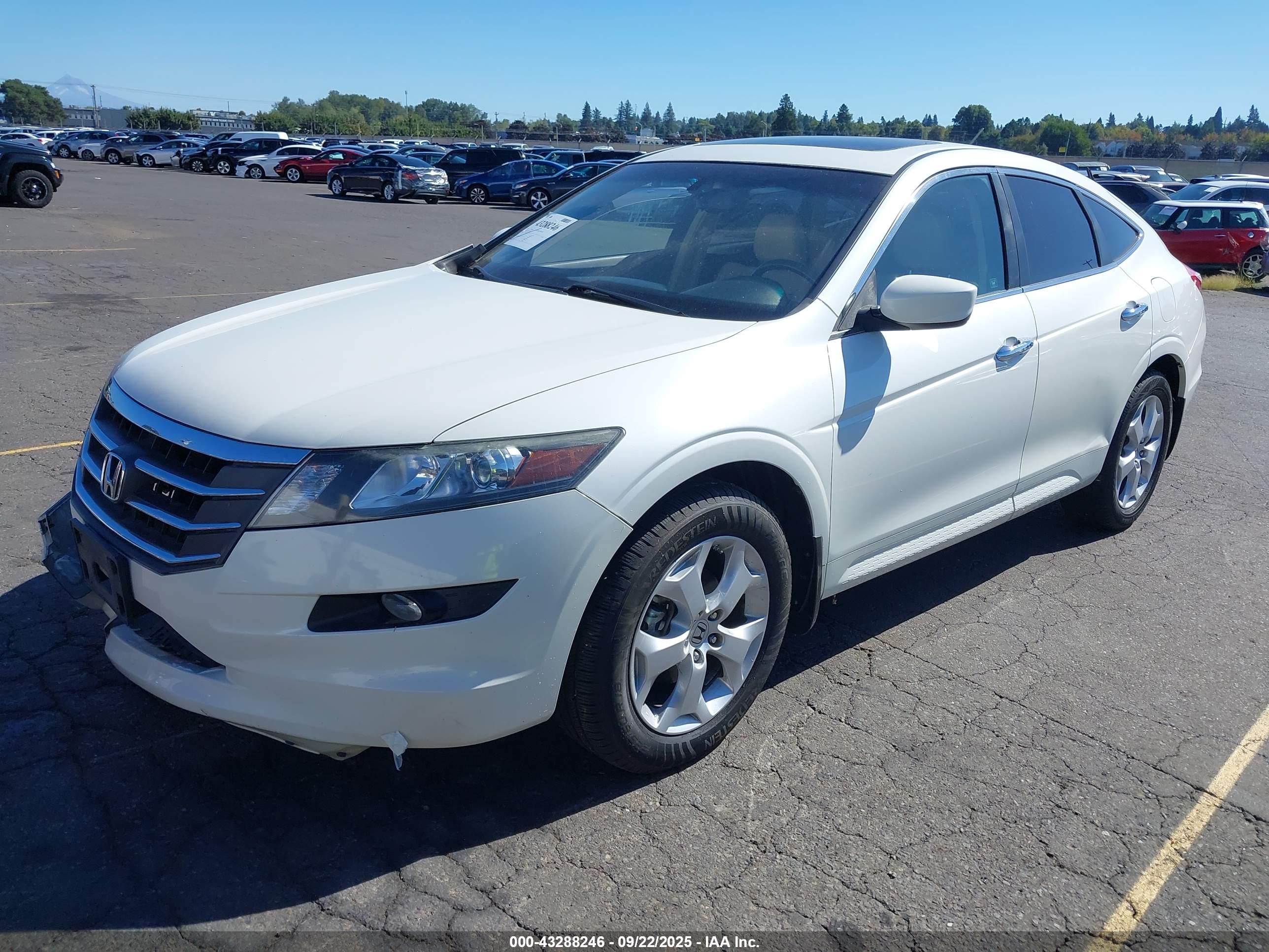 HONDA ACCORD image 2