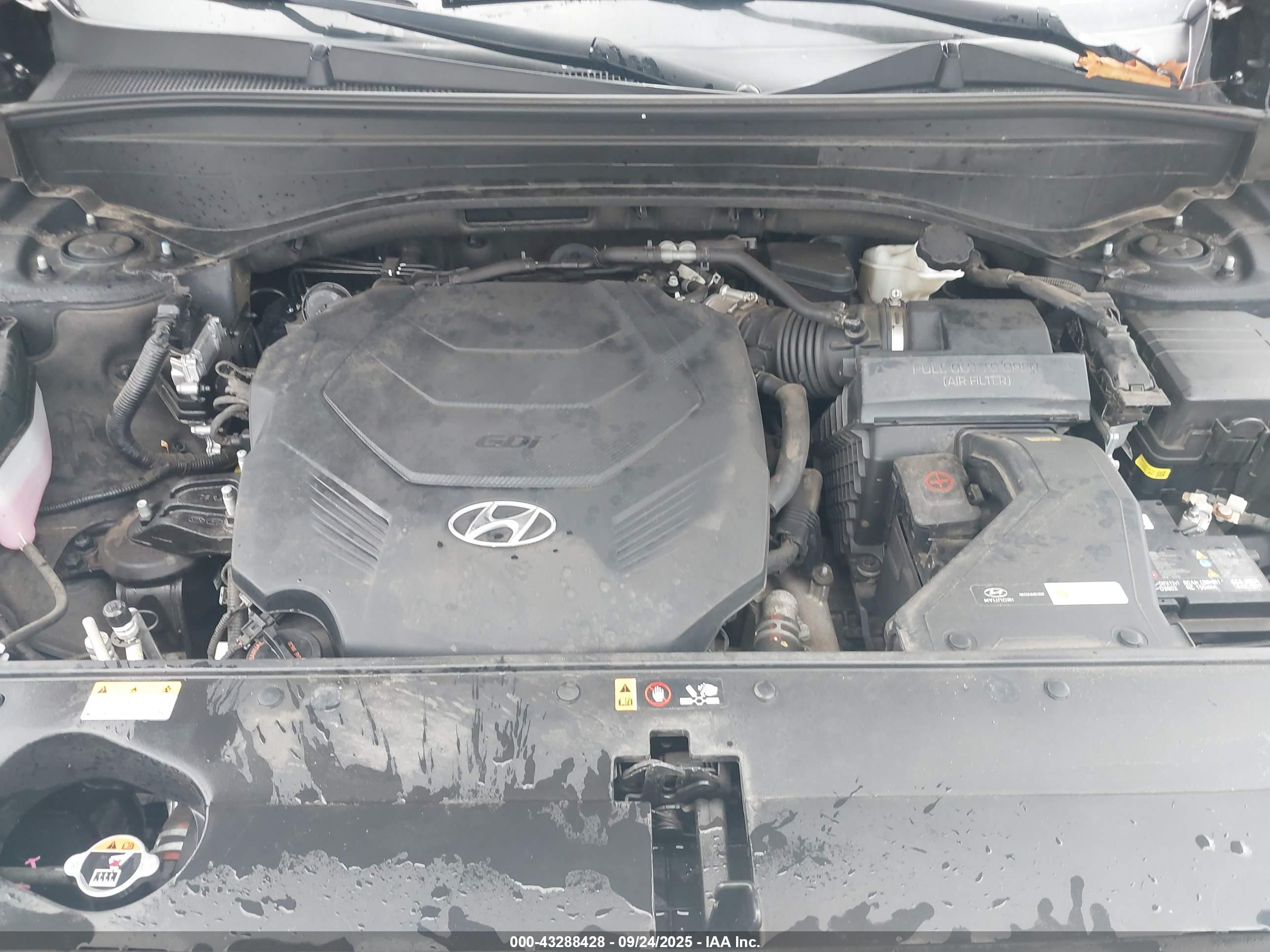 HYUNDAI PALISADE image 10
