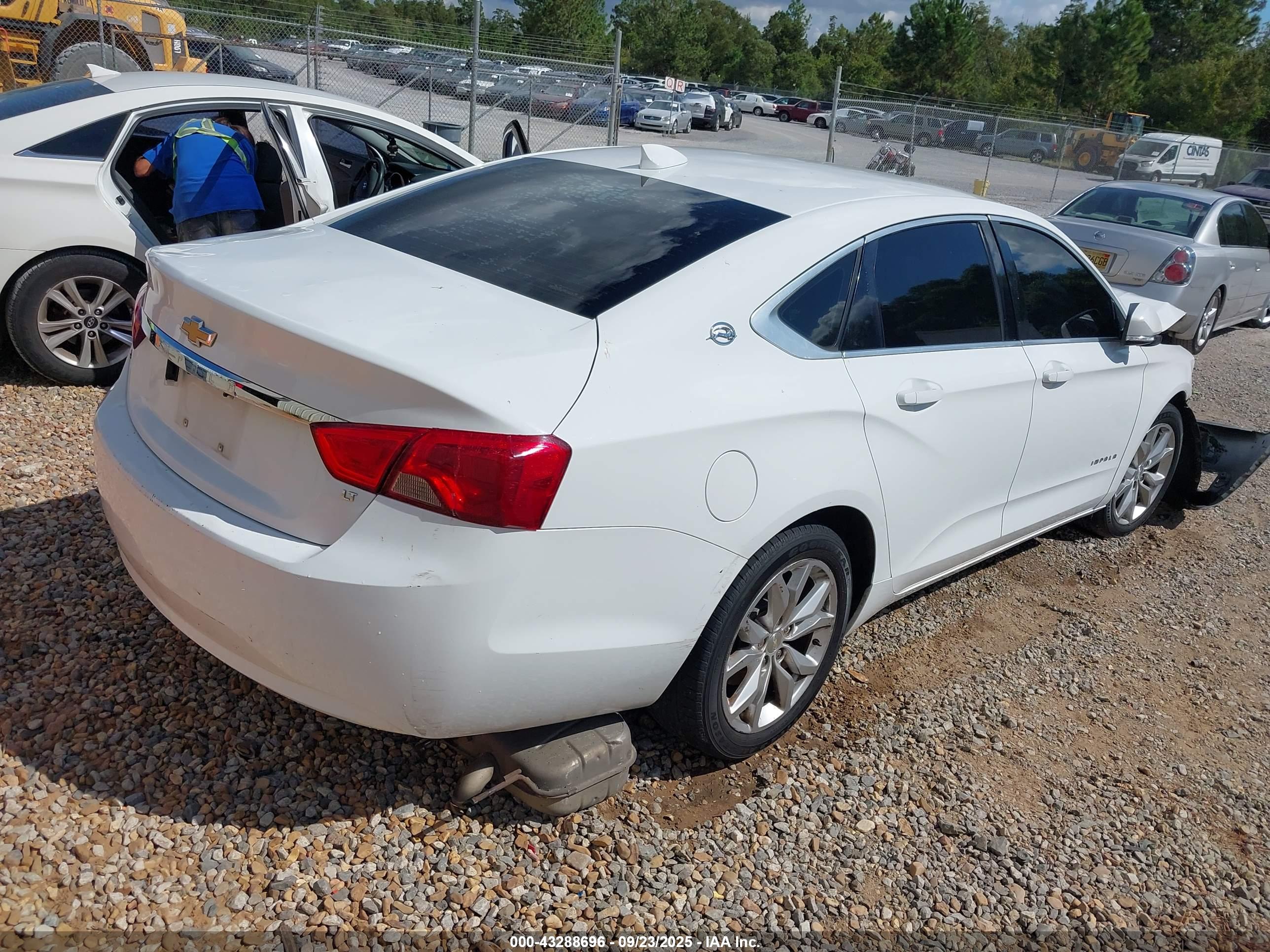 CHEVROLET IMPALA image 4