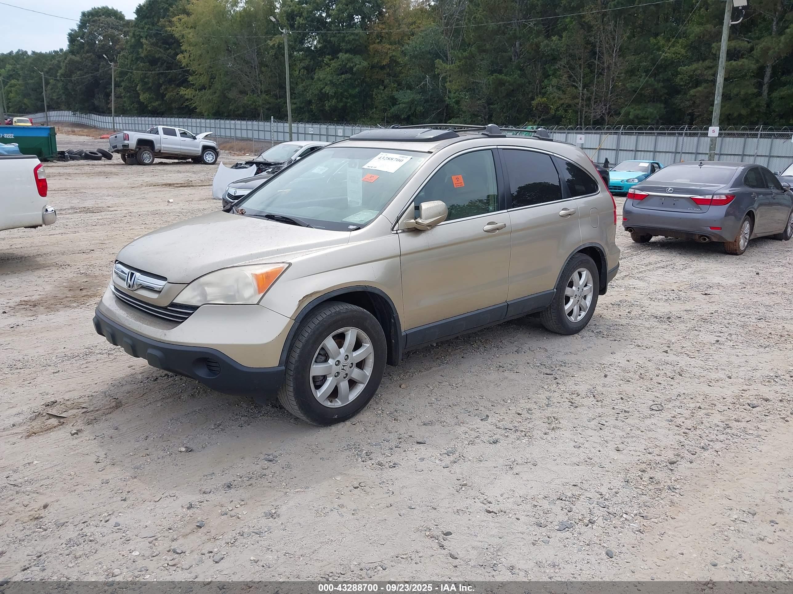 HONDA CR-V image 2
