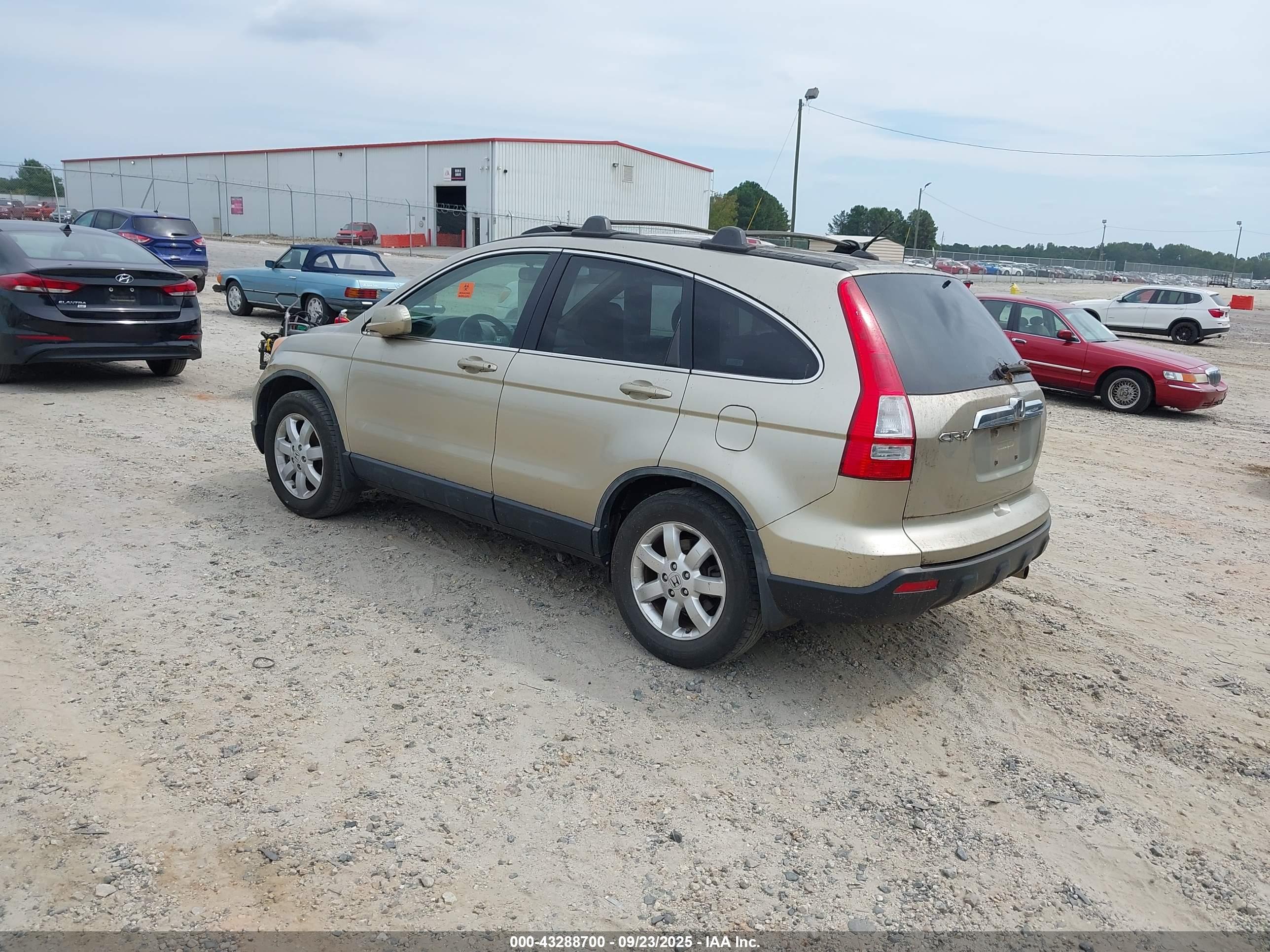 HONDA CR-V image 3