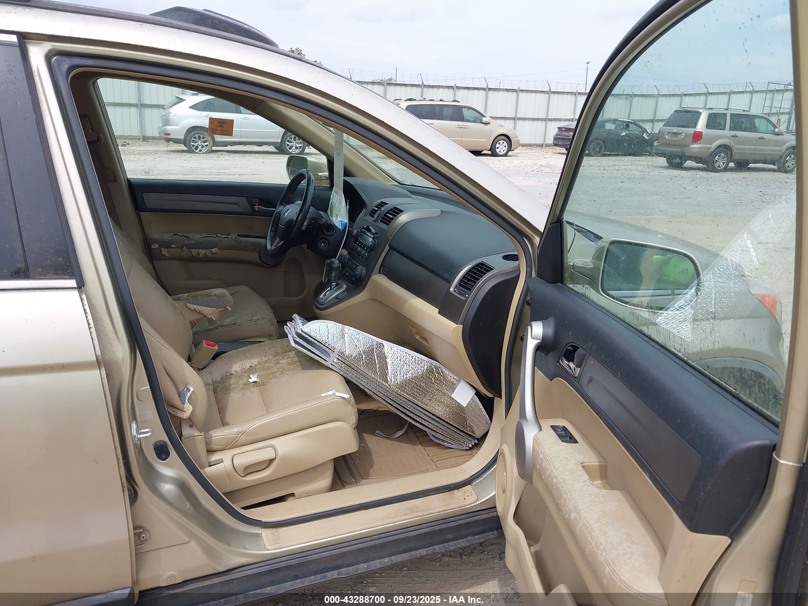 HONDA CR-V image 5